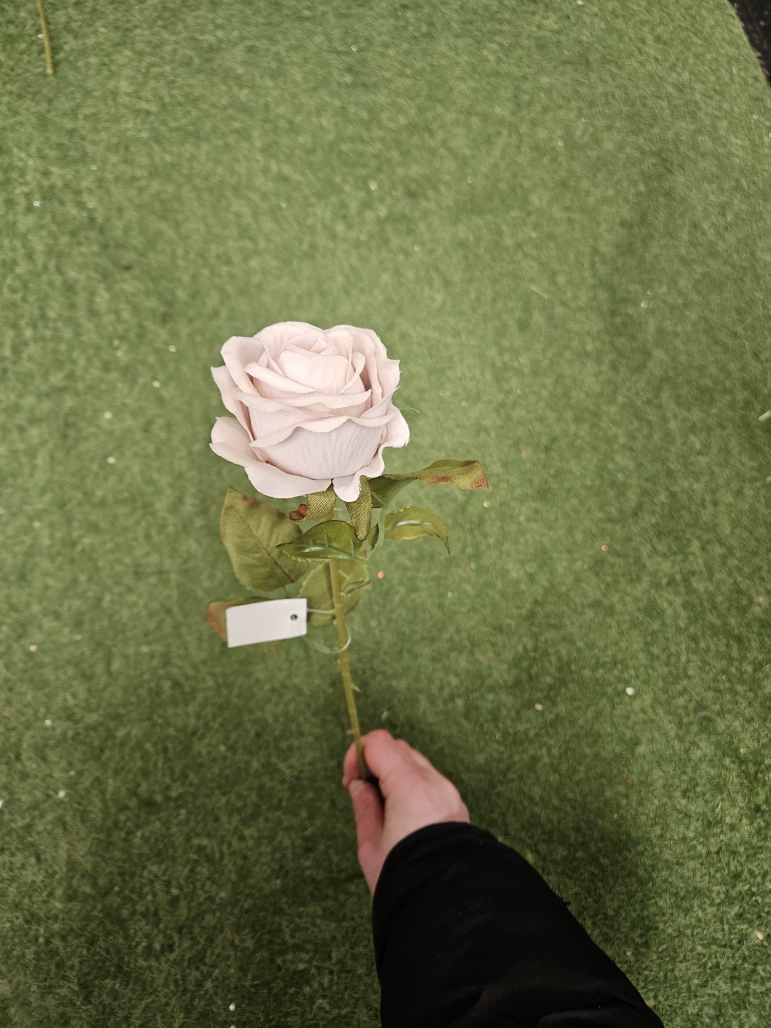Box of 48 Amira roses - 3 colours available (head approx 8cm)