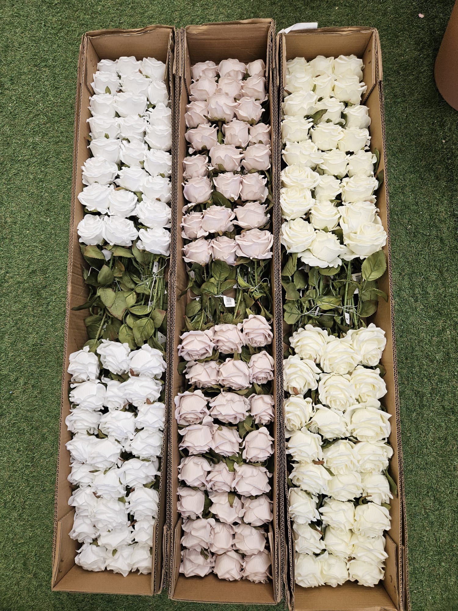 Box of 48 Amira roses - 3 colours available (head approx 8cm)