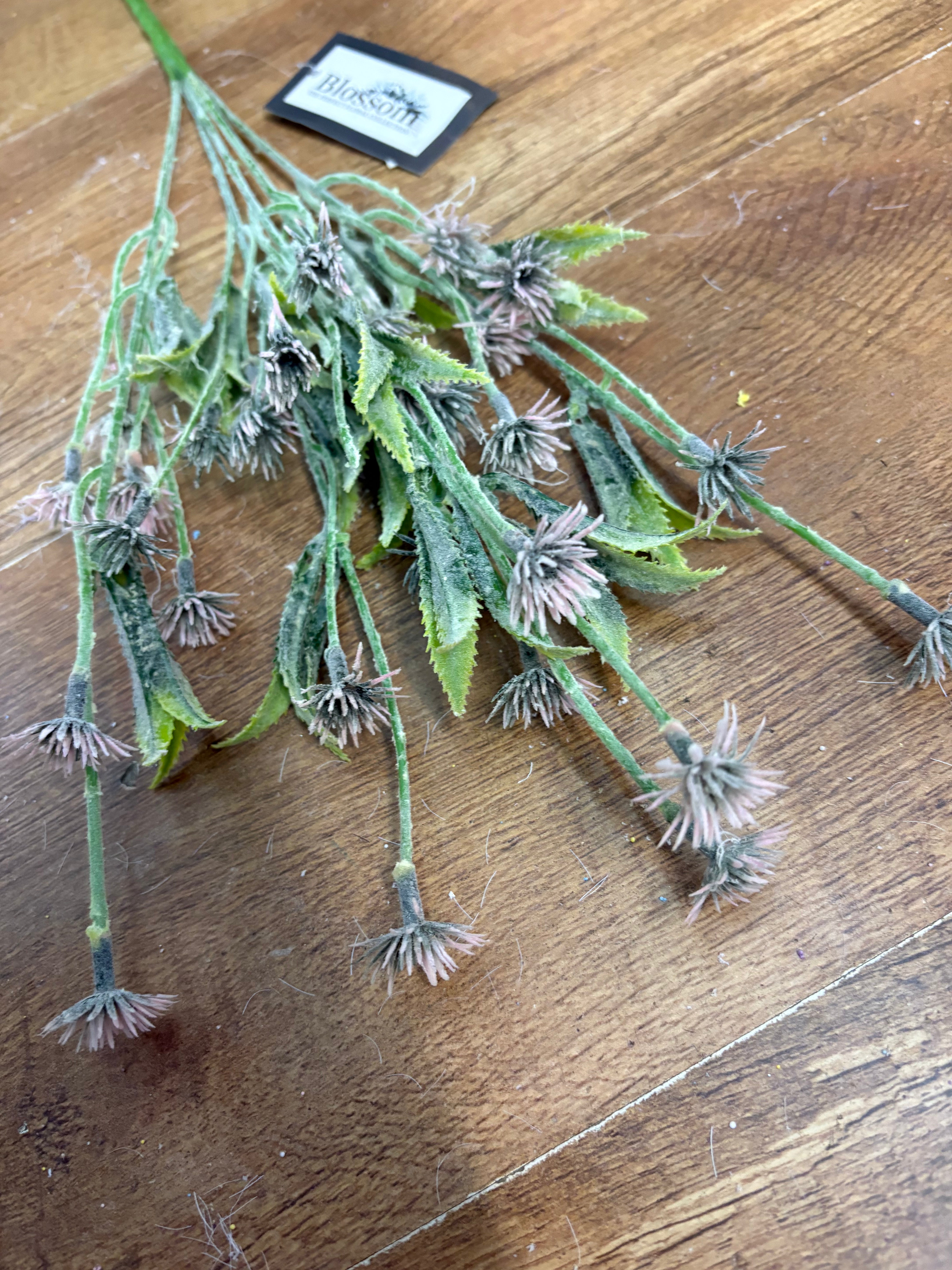 Big bunch miniature thistles - 5 colours available
