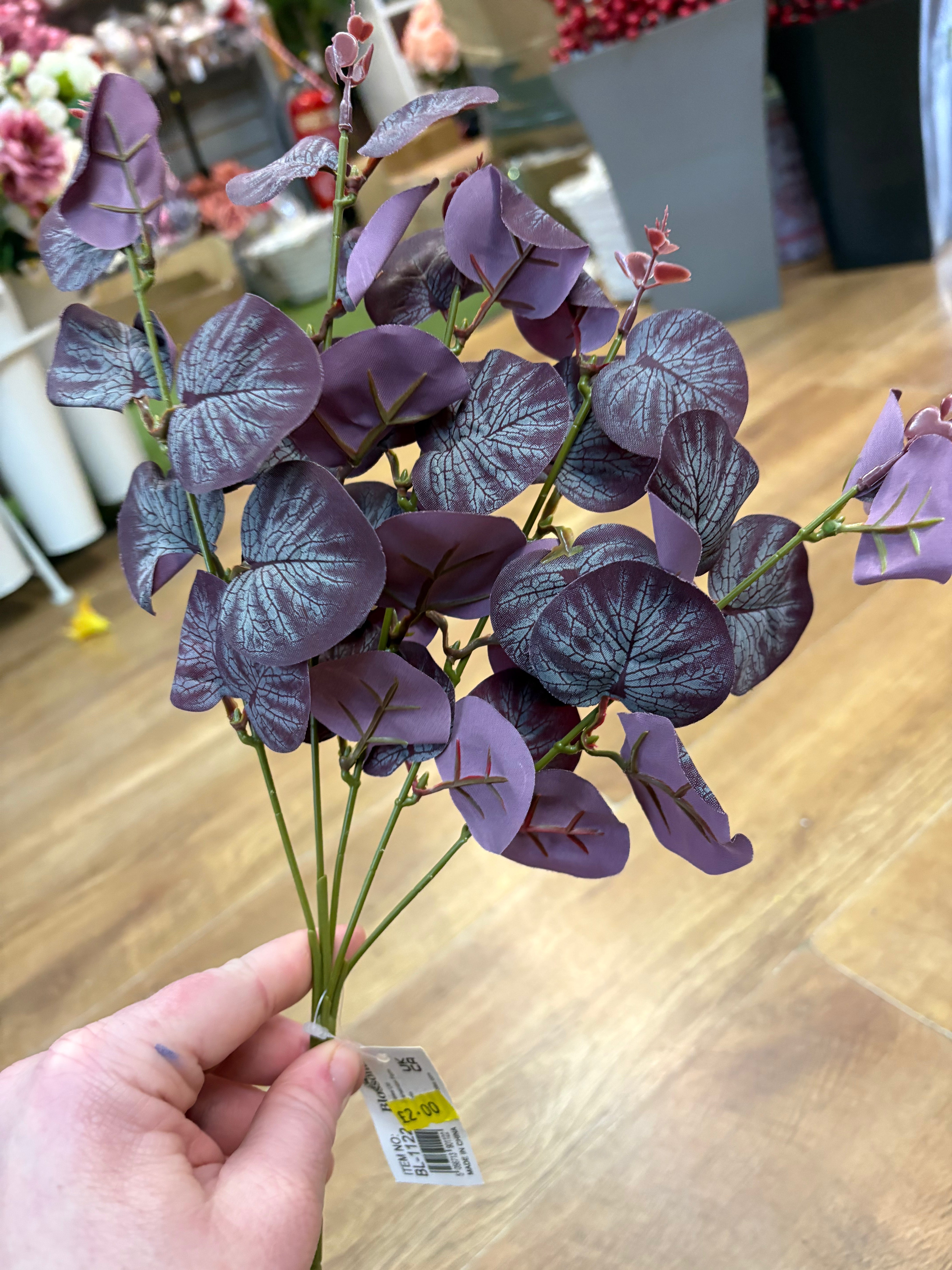 Eucalyptus bunch - 4 colours available