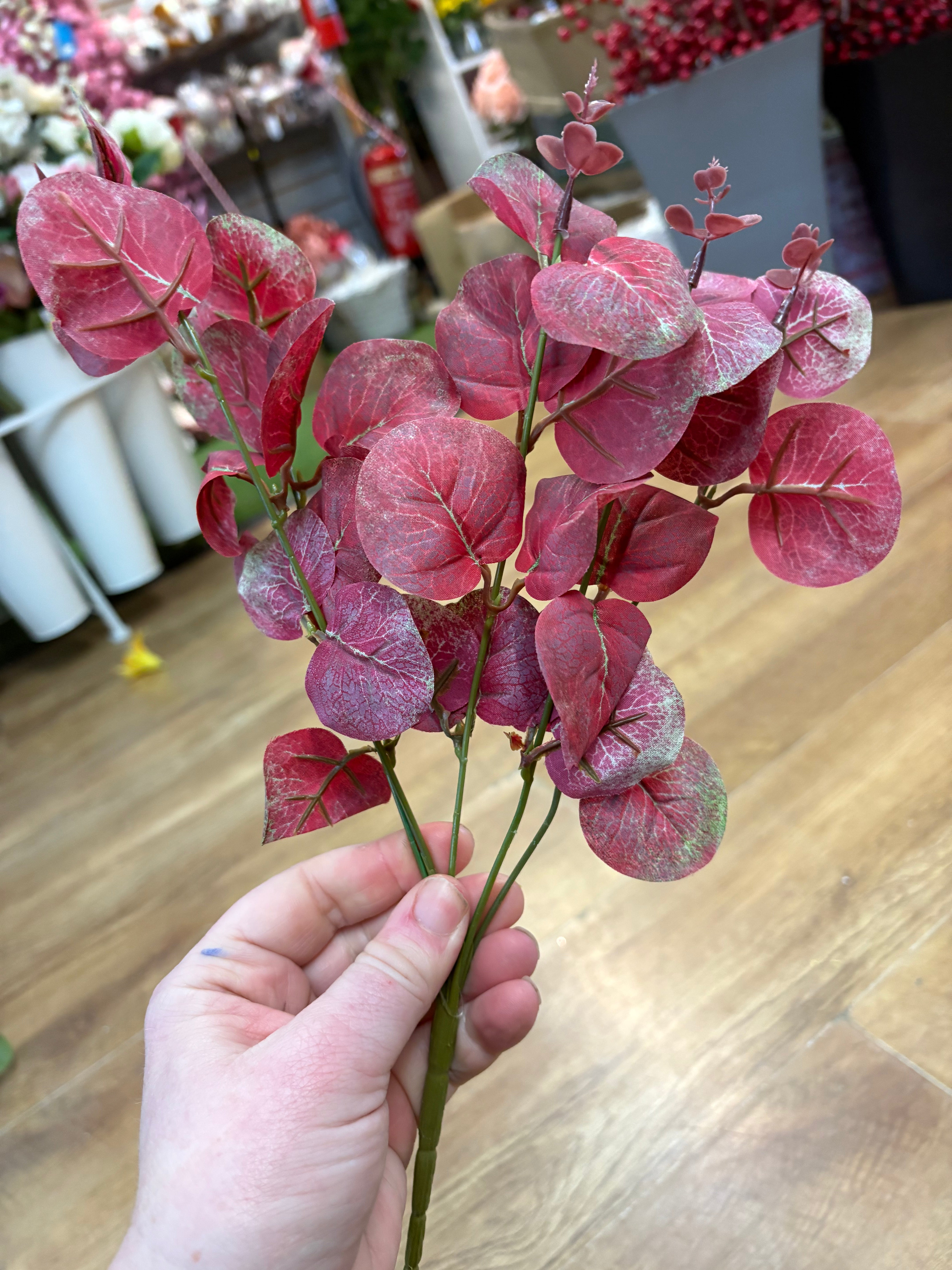 Eucalyptus bunch - 4 colours available