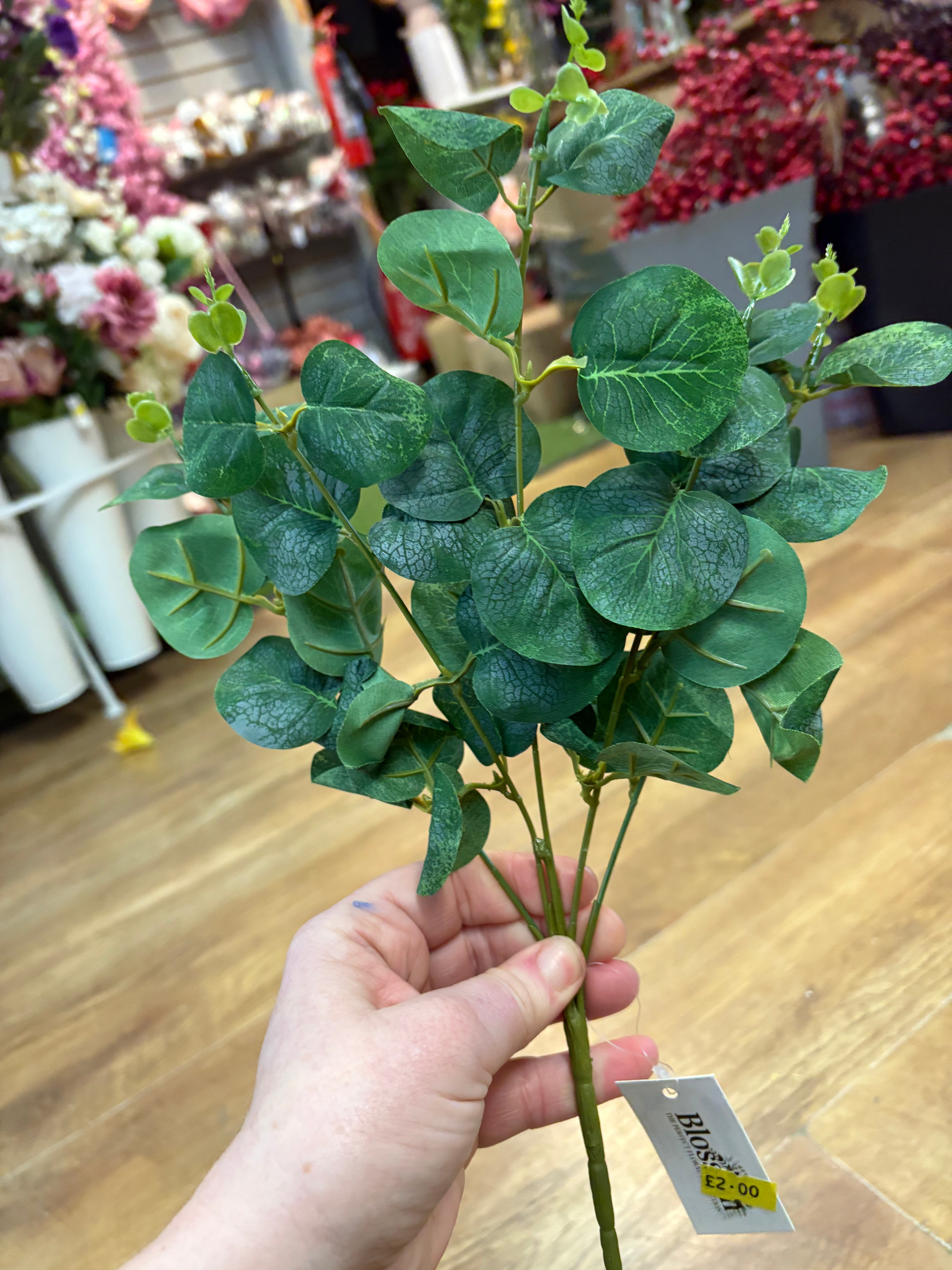 Eucalyptus bunch - 4 colours available
