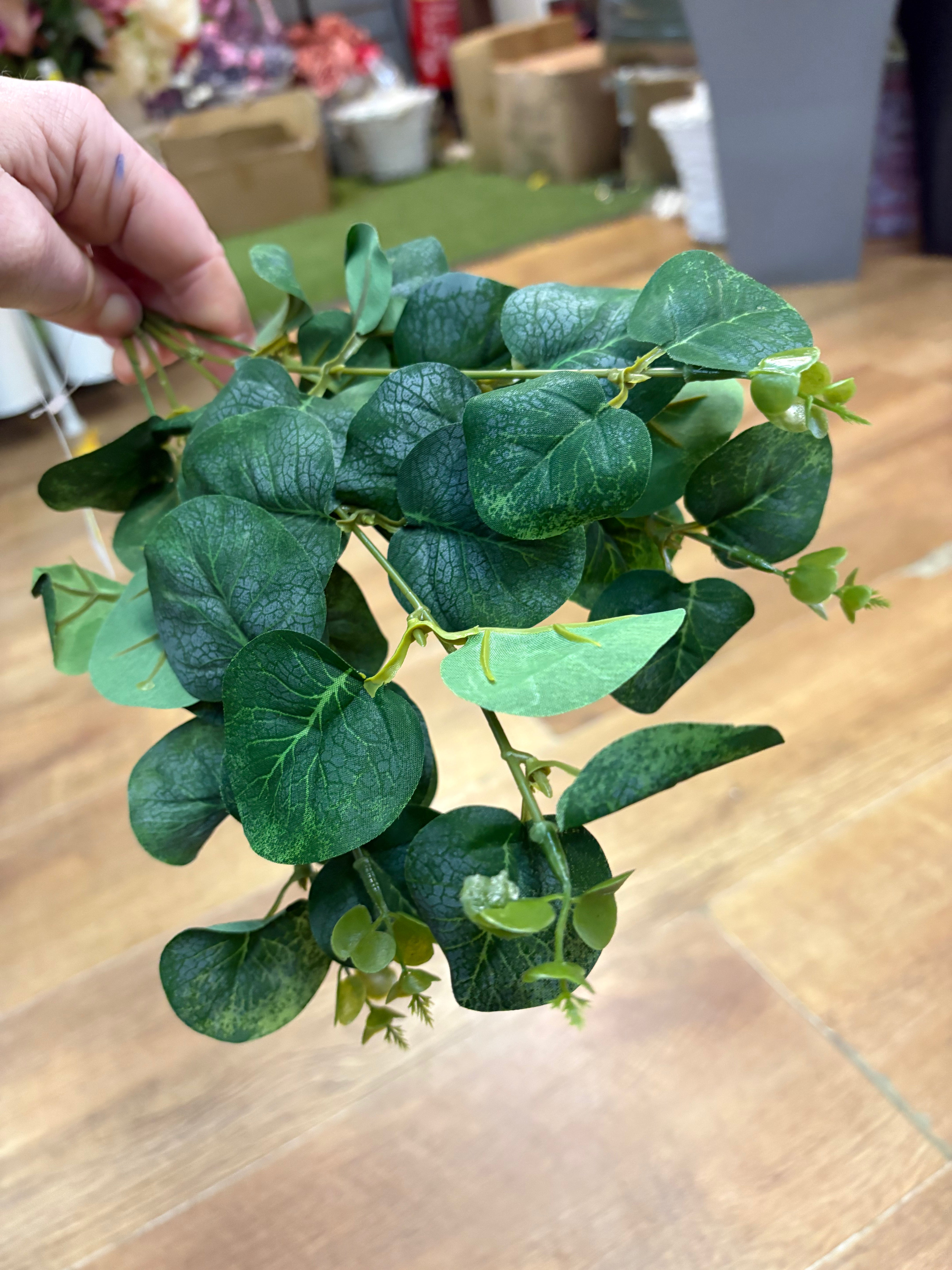 Eucalyptus bunch - 4 colours available
