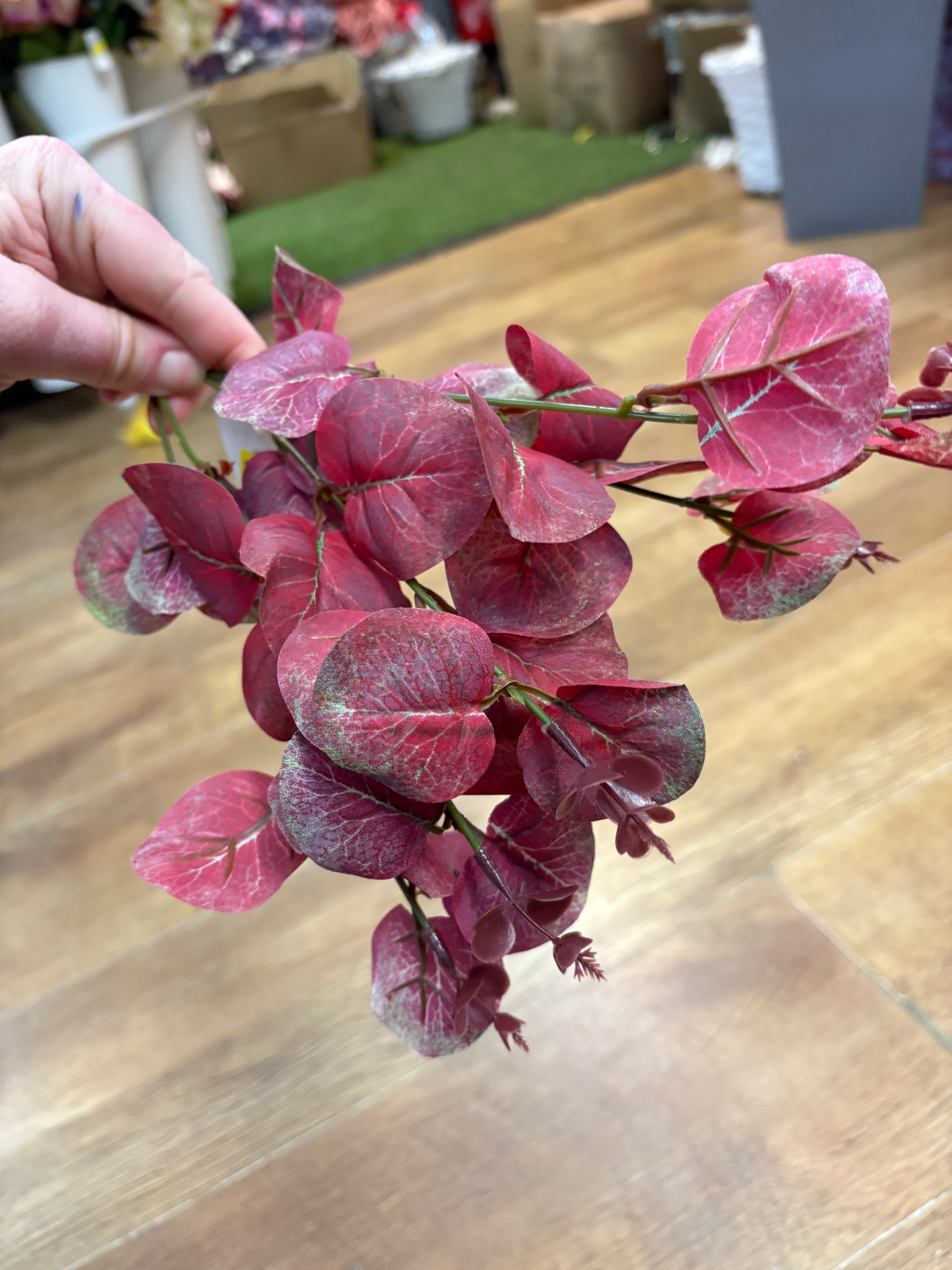 Eucalyptus bunch - 4 colours available
