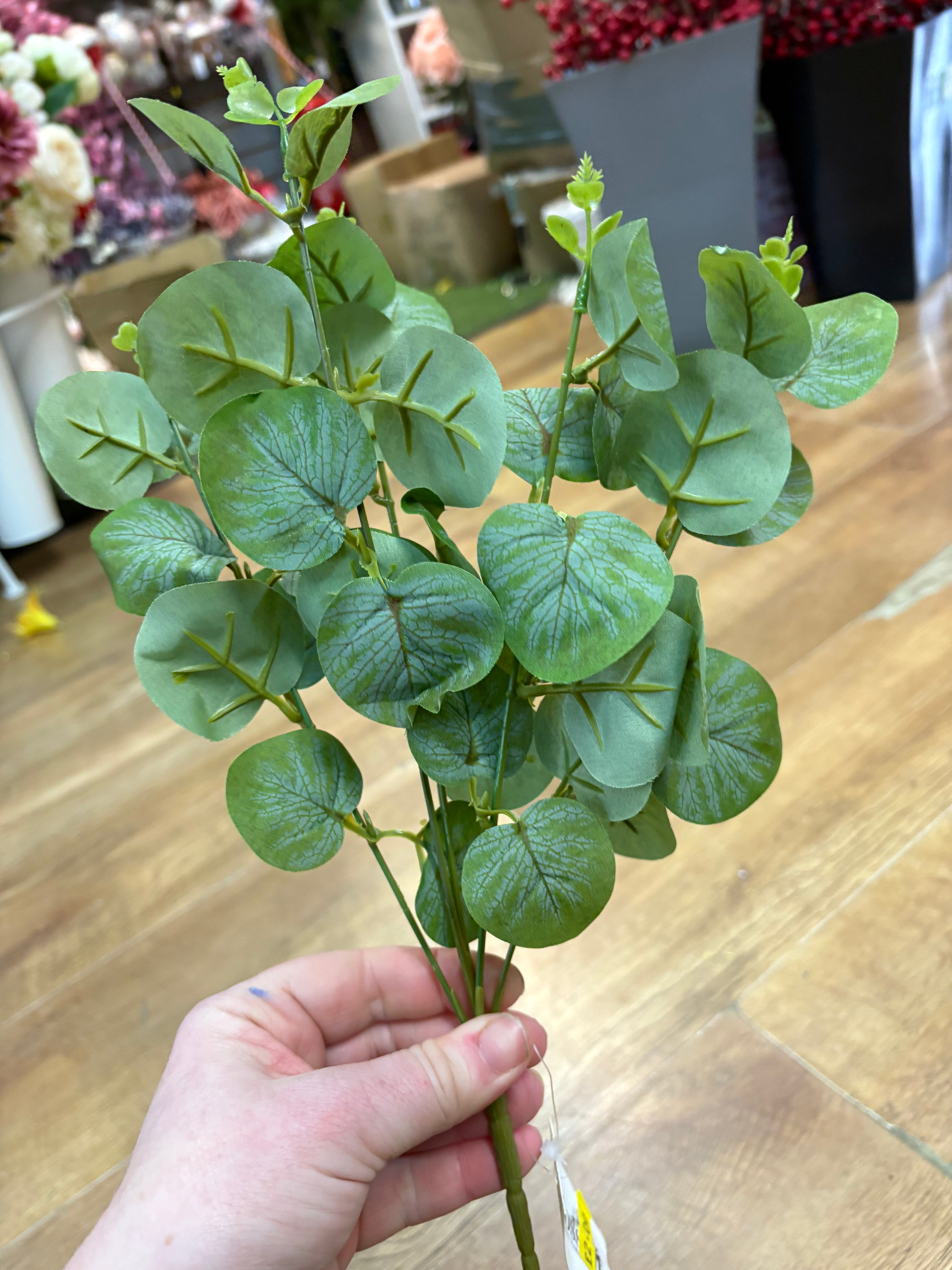 Eucalyptus bunch - 4 colours available