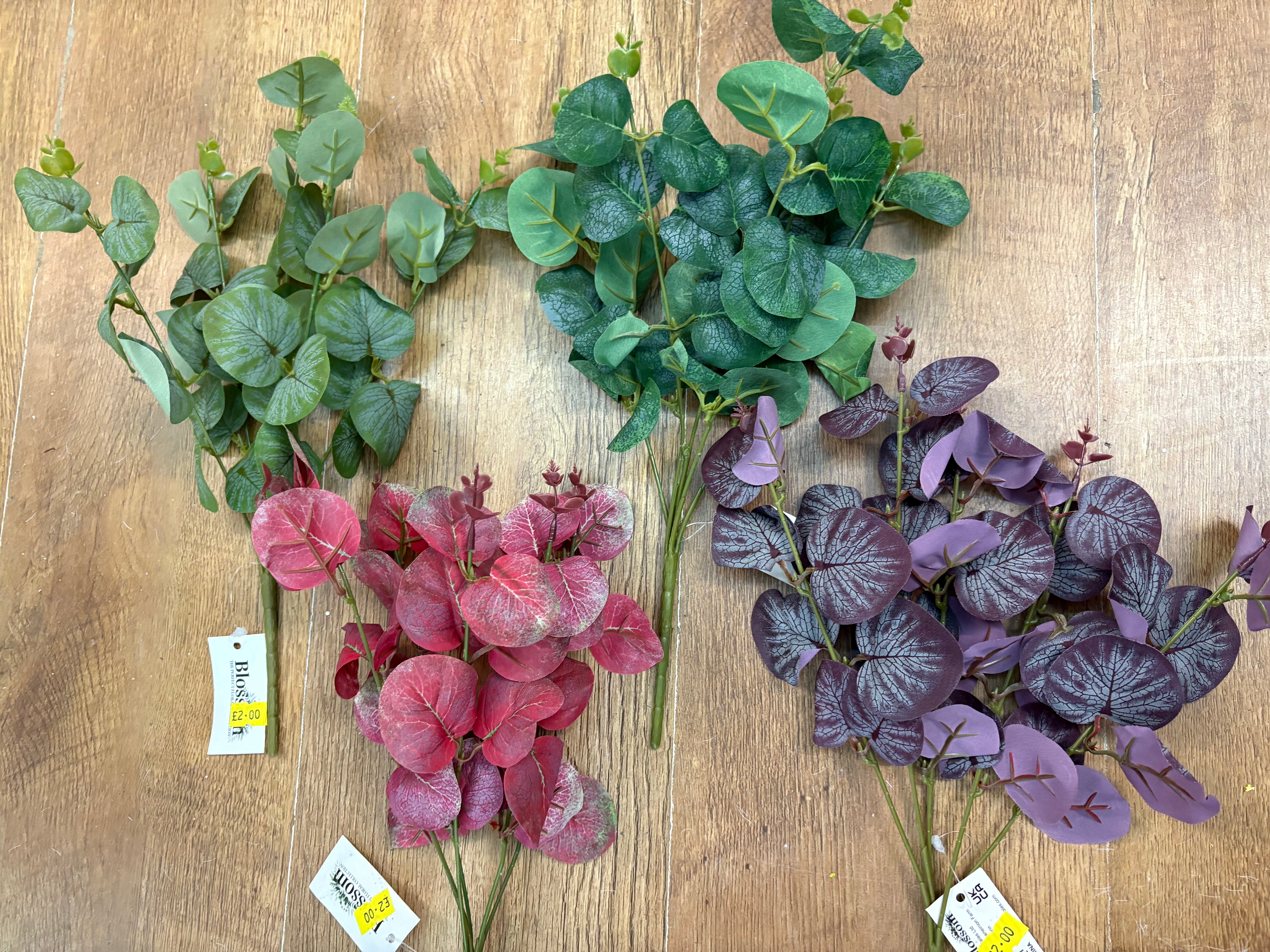 Eucalyptus bunch - 4 colours available