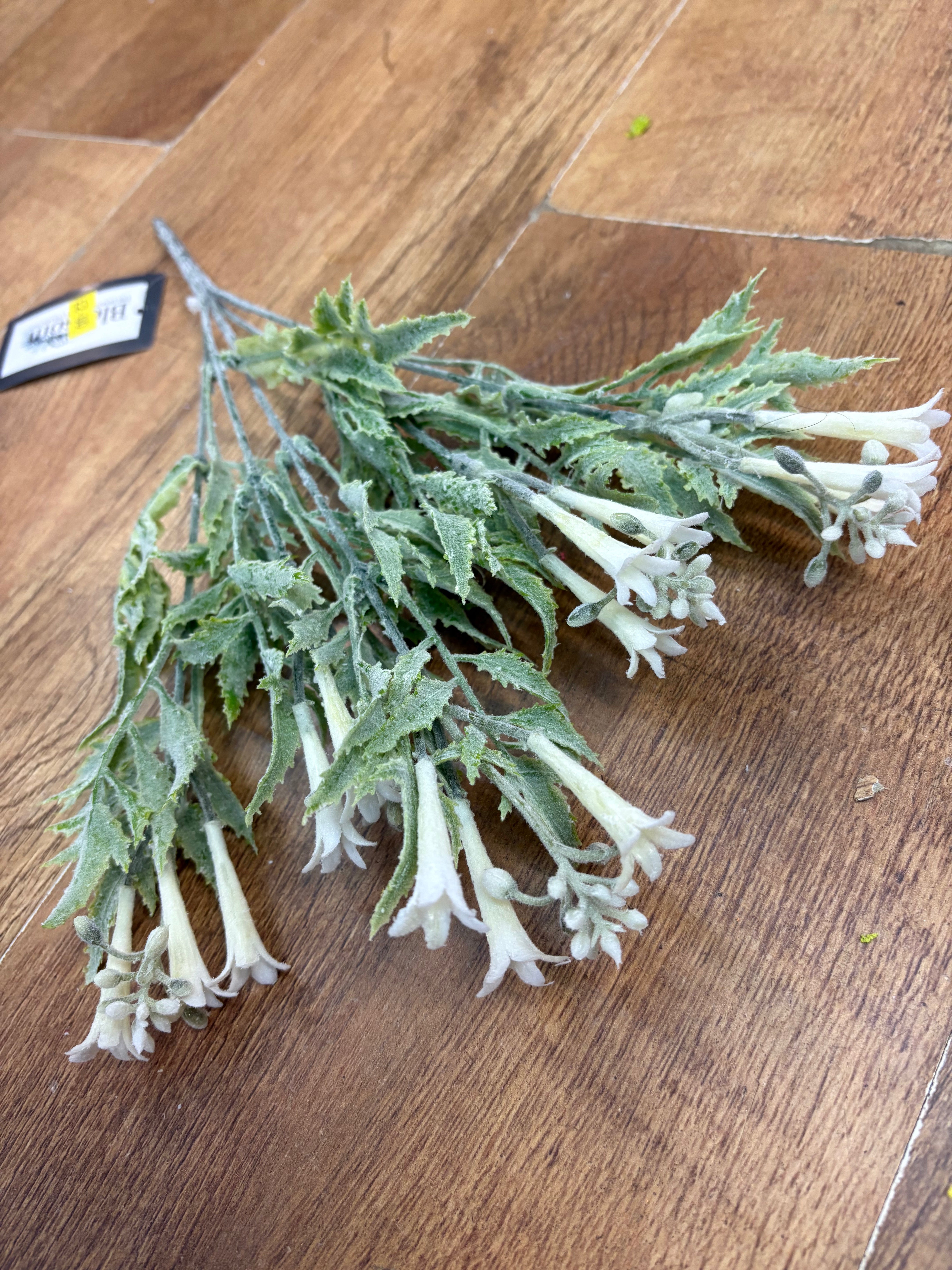 White flowering foliage