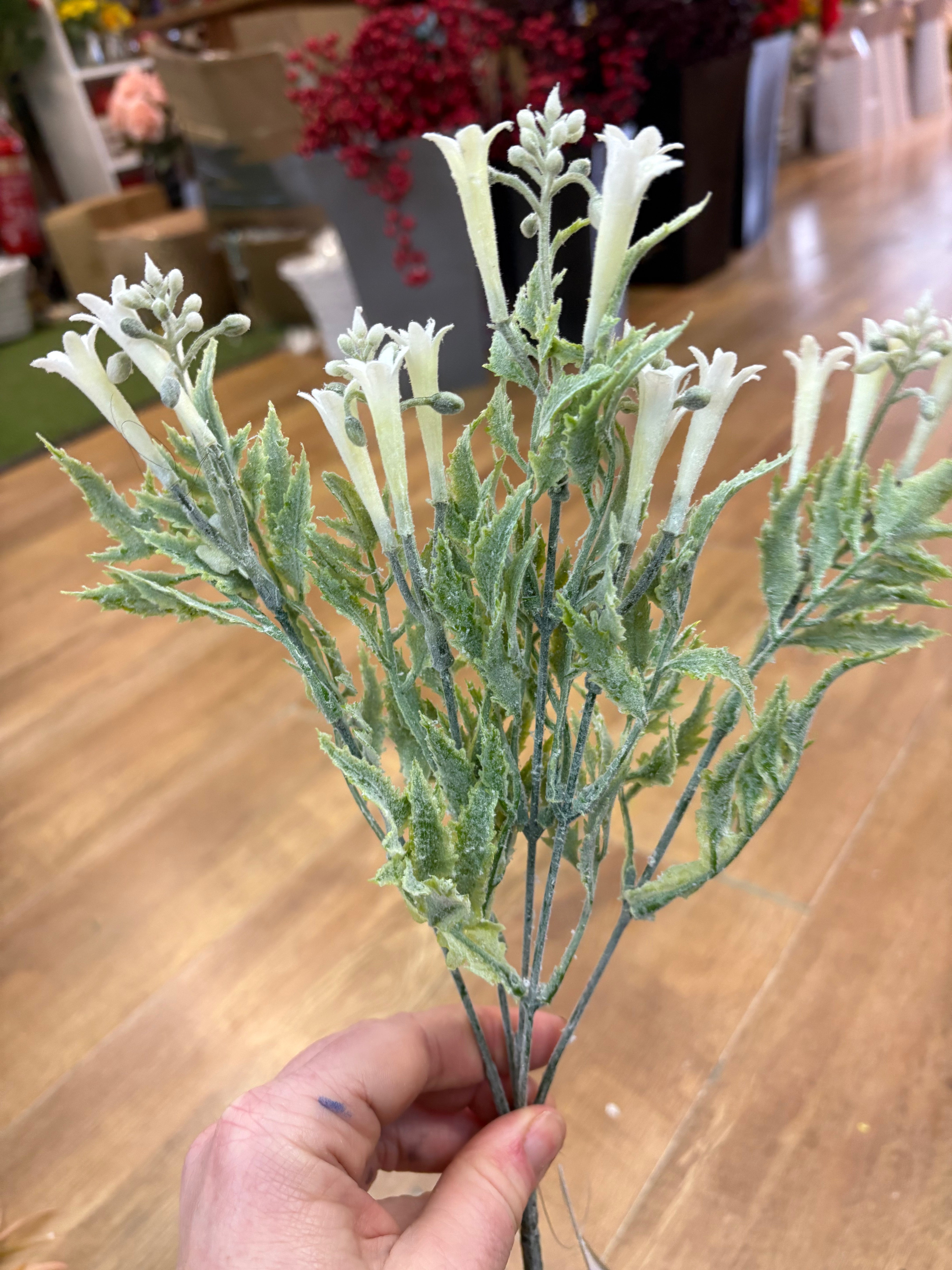 White flowering foliage