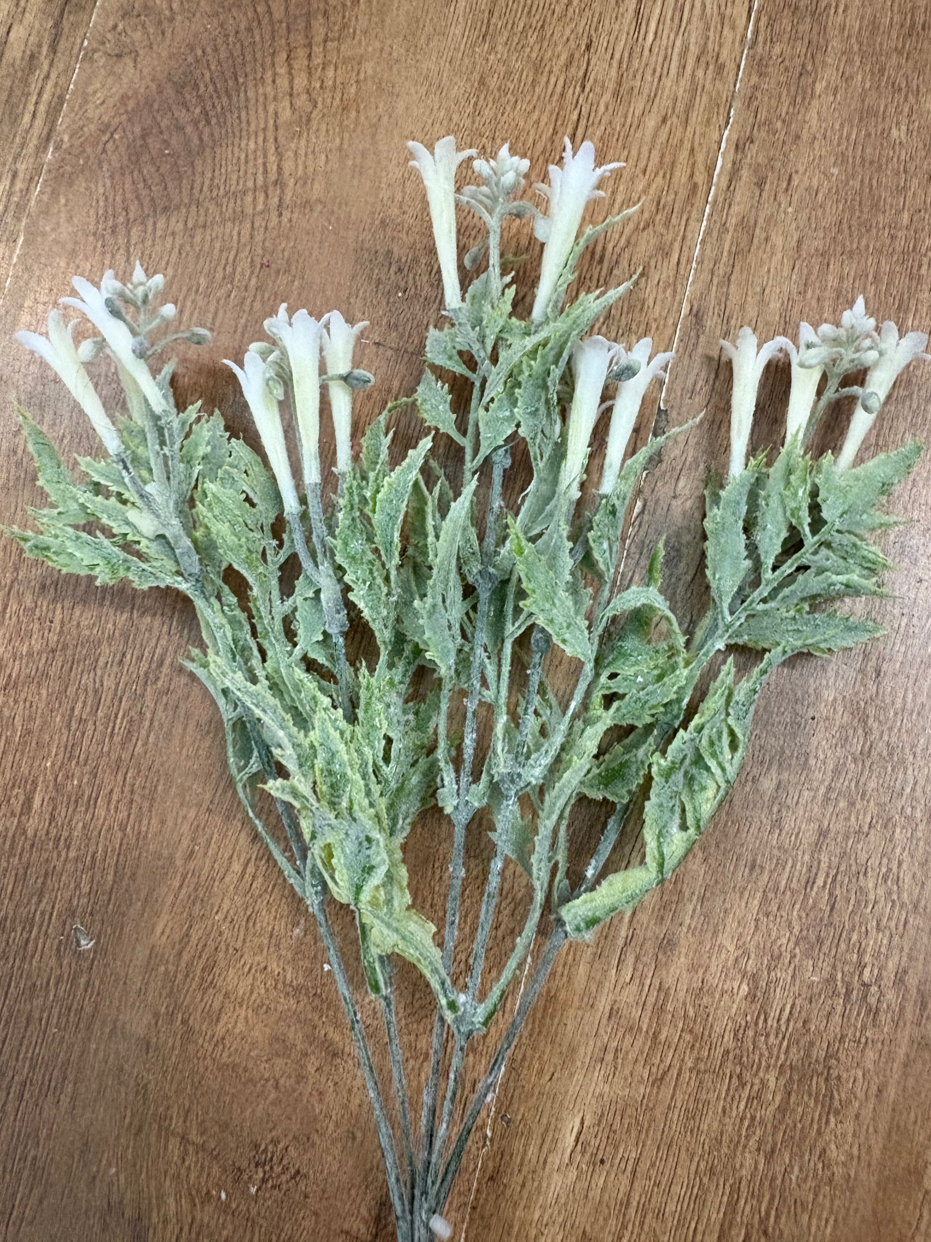 White flowering foliage