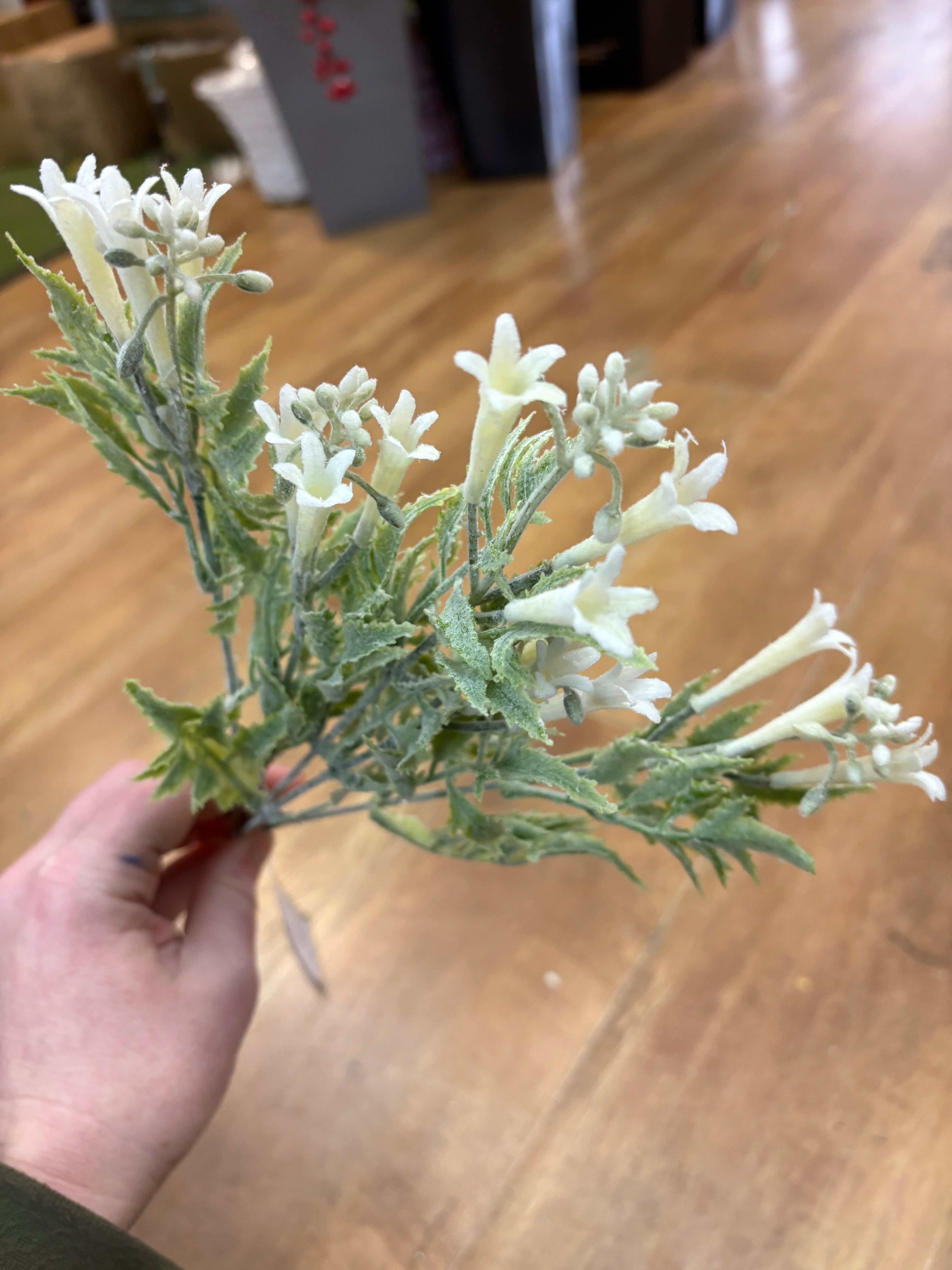 White flowering foliage