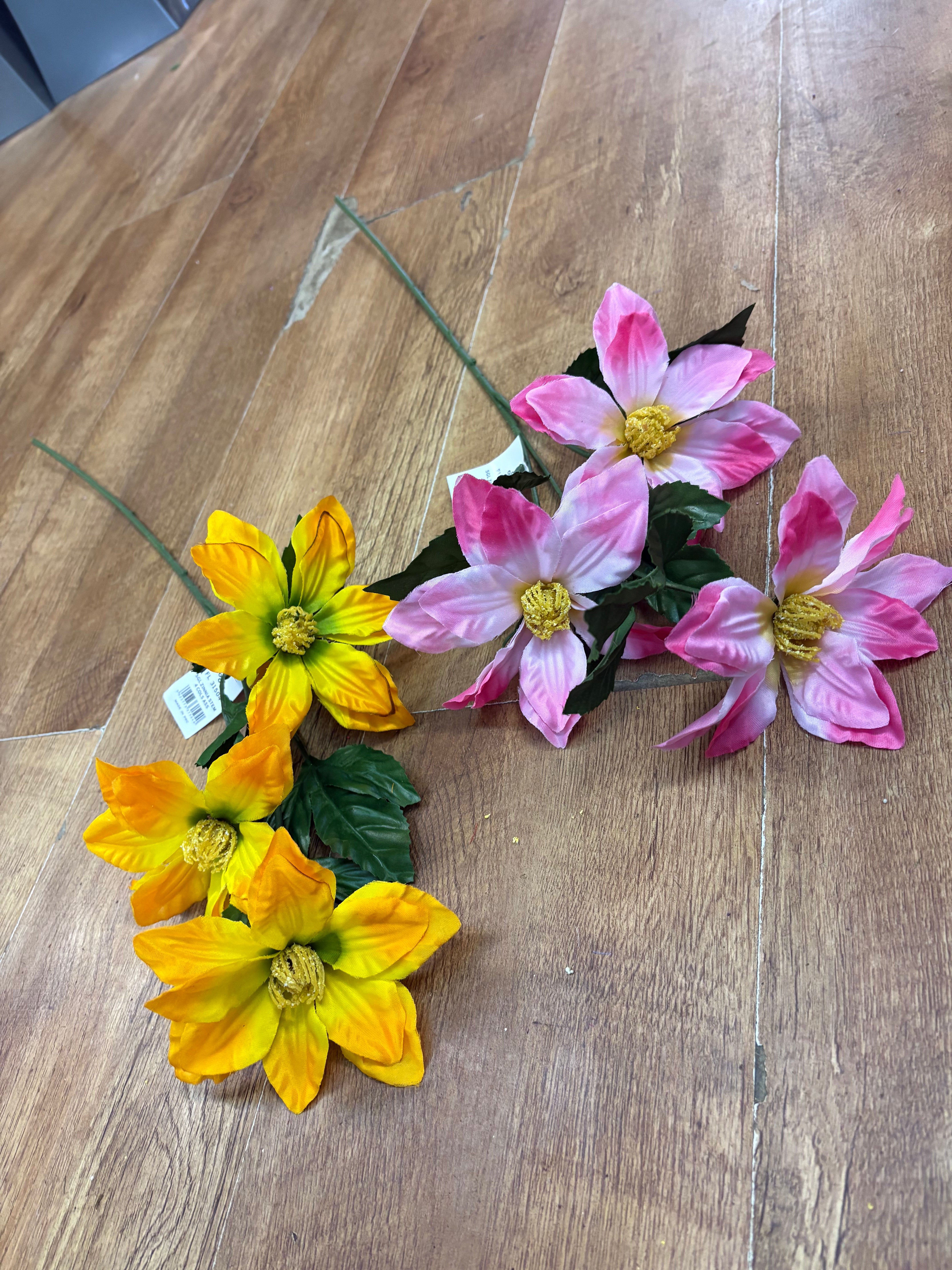 Long stem zinnia - 2 colours available