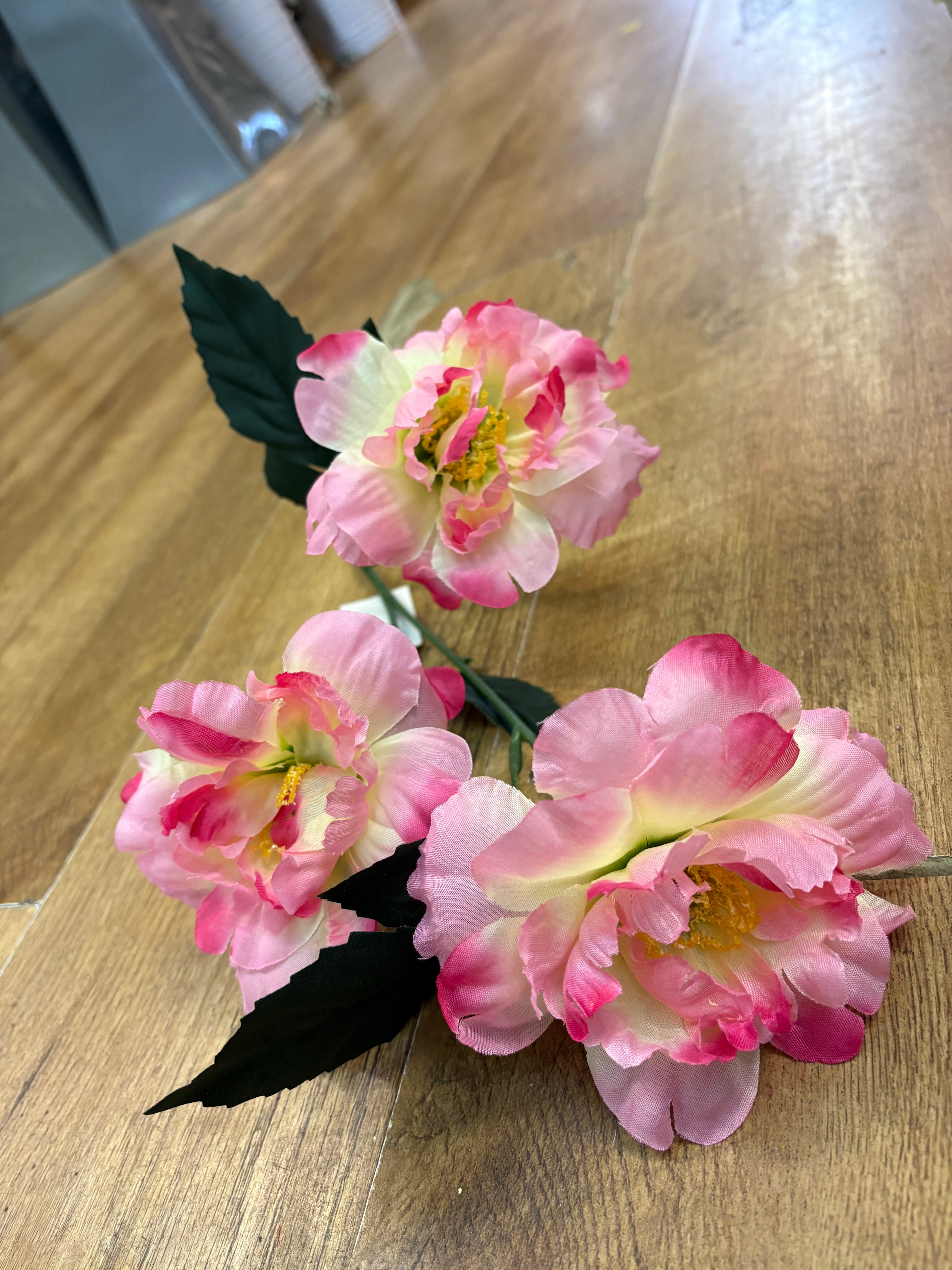 Long stem pink camellia