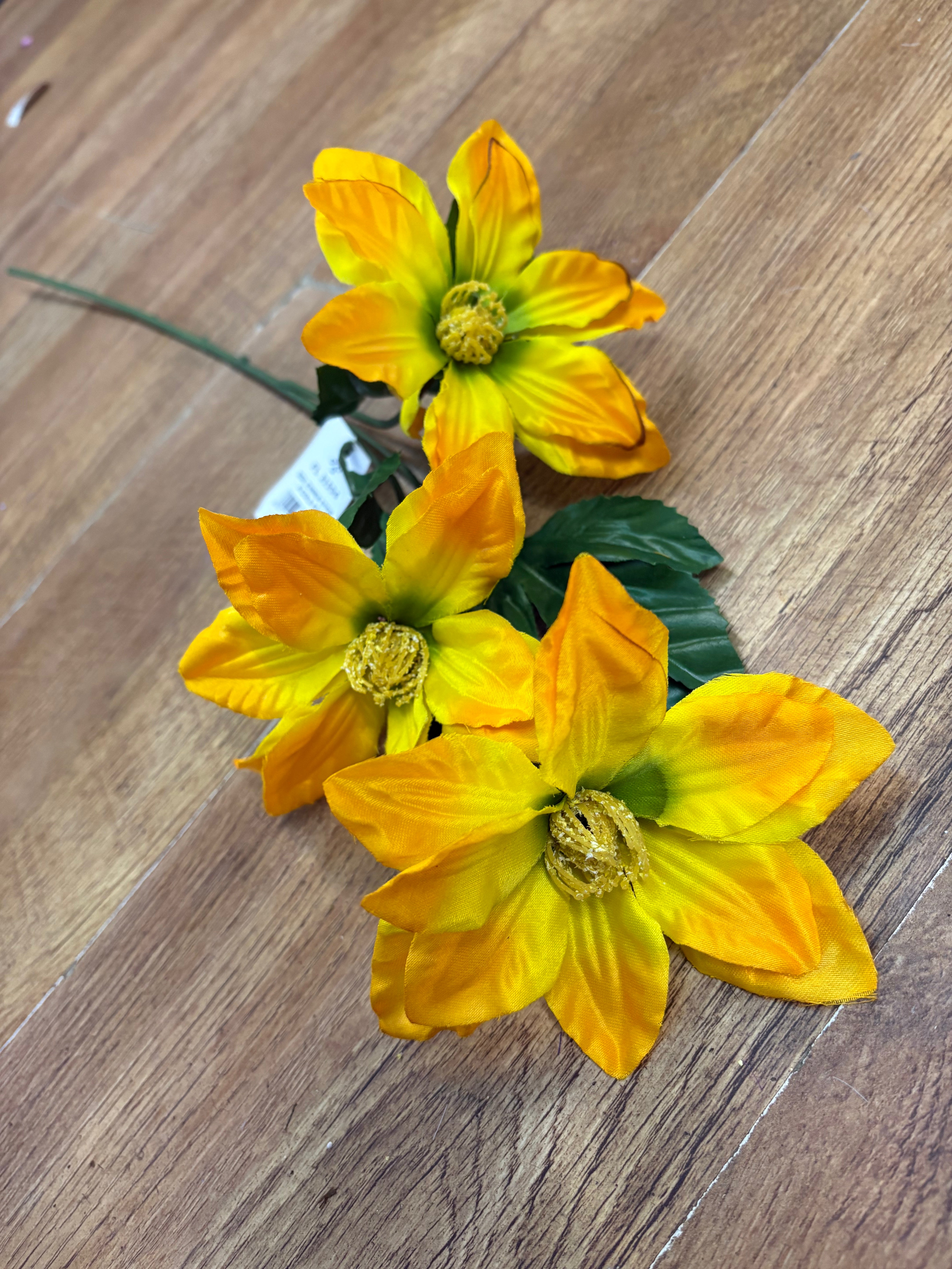 Long stem zinnia - 2 colours available