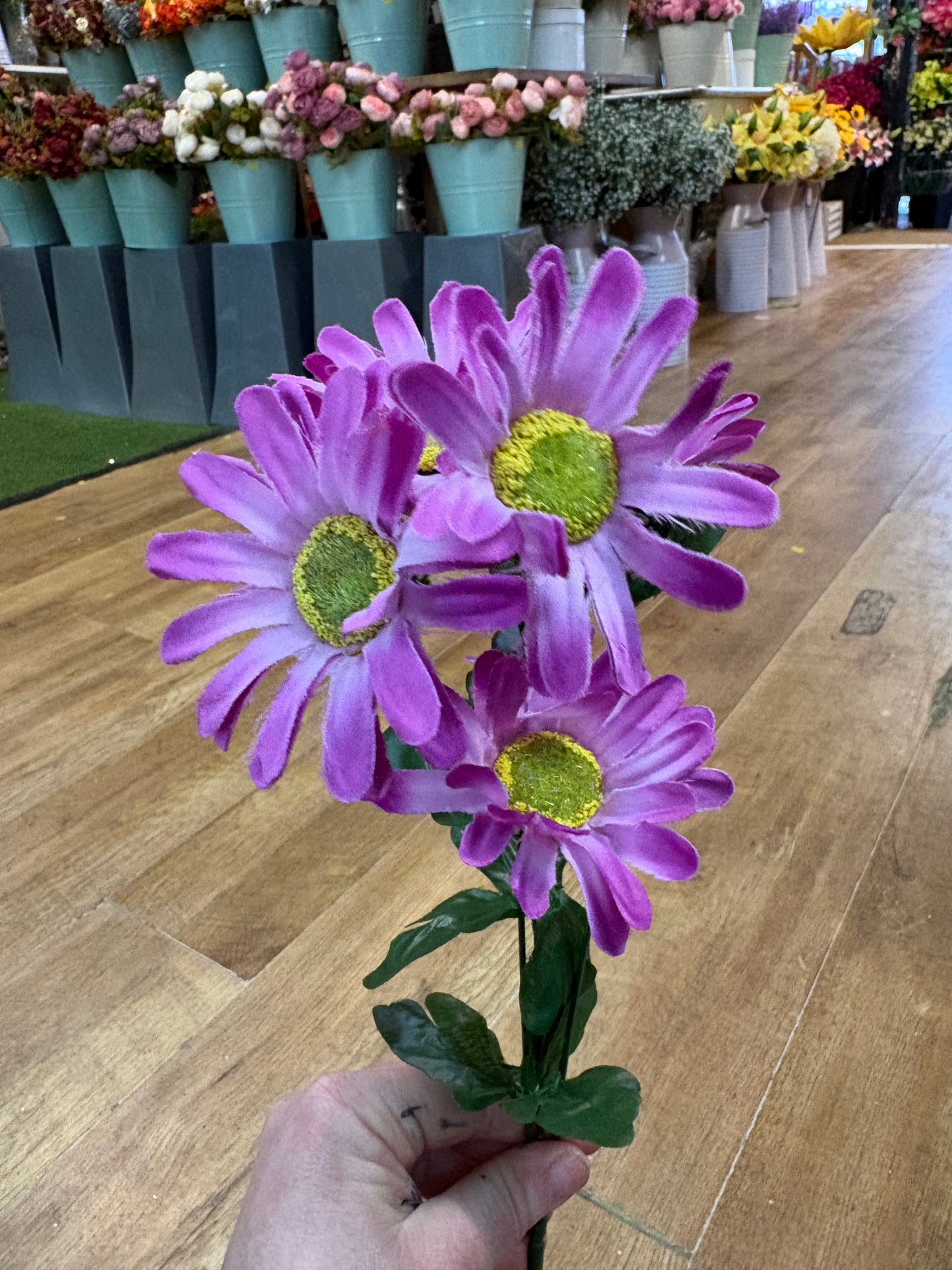 Long stem gerbera spray - 2 colours available