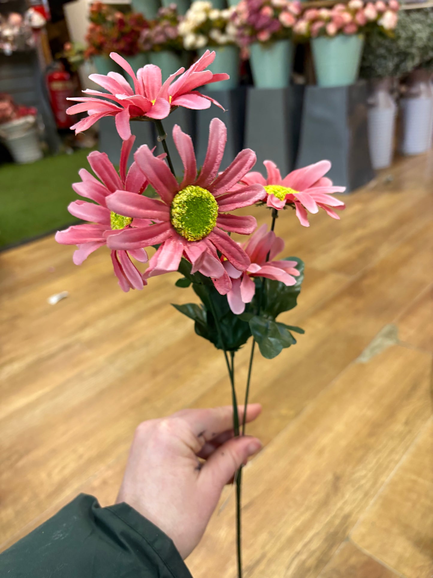 Long stem gerbera spray - 2 colours available