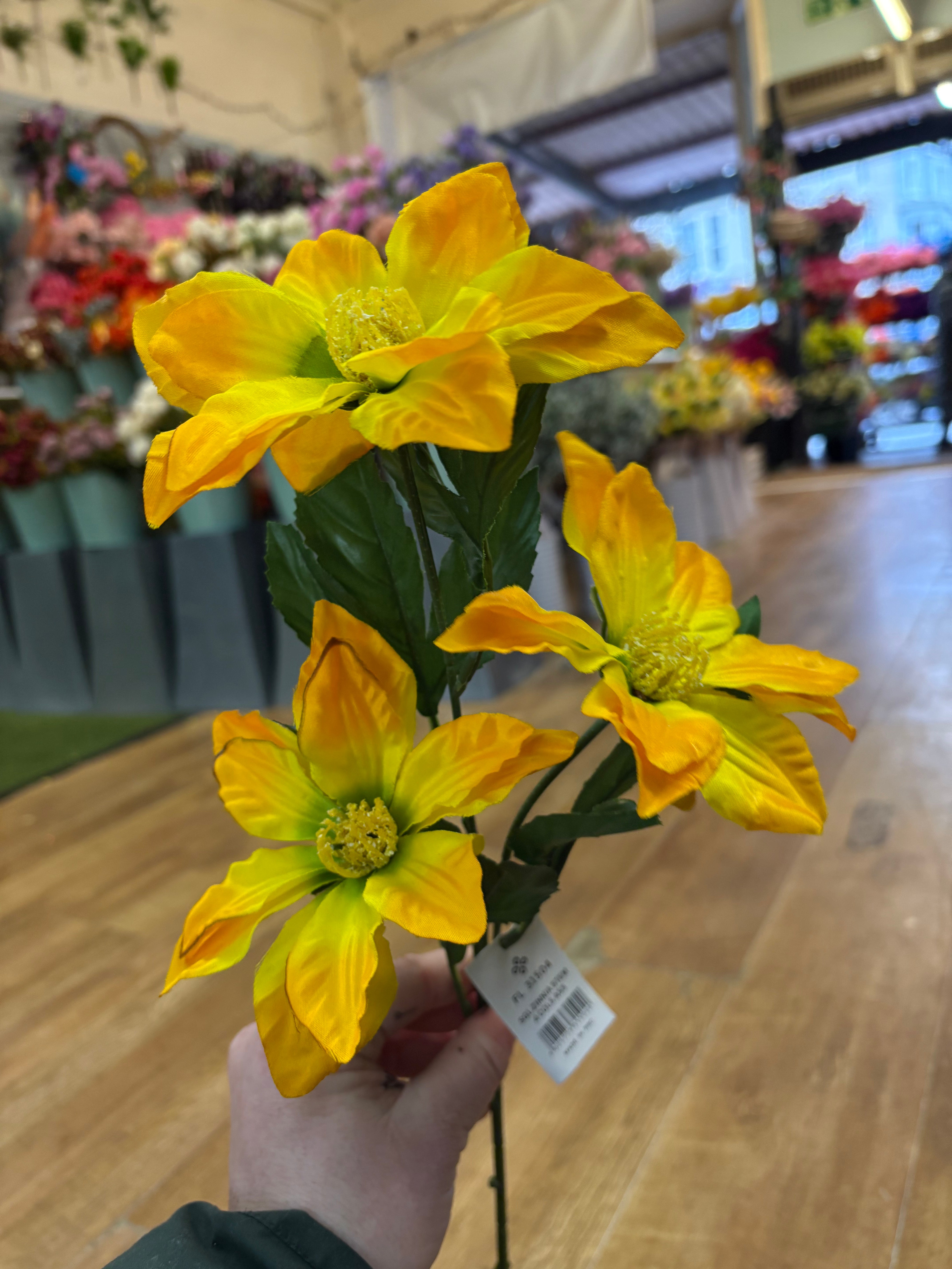 Long stem zinnia - 2 colours available