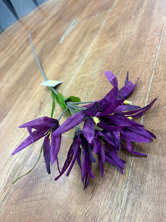 Long stem purple glory stem