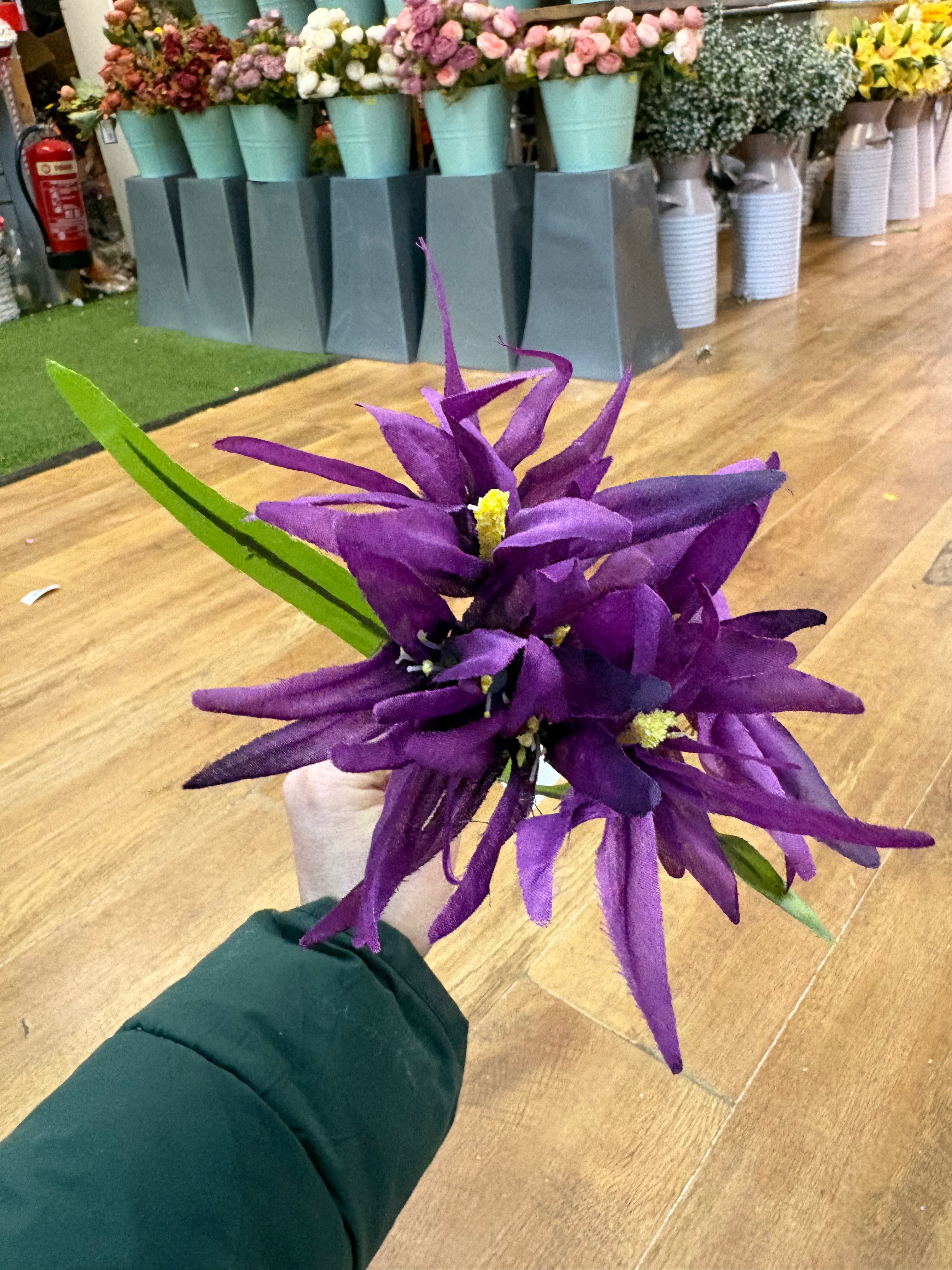 Long stem purple glory stem