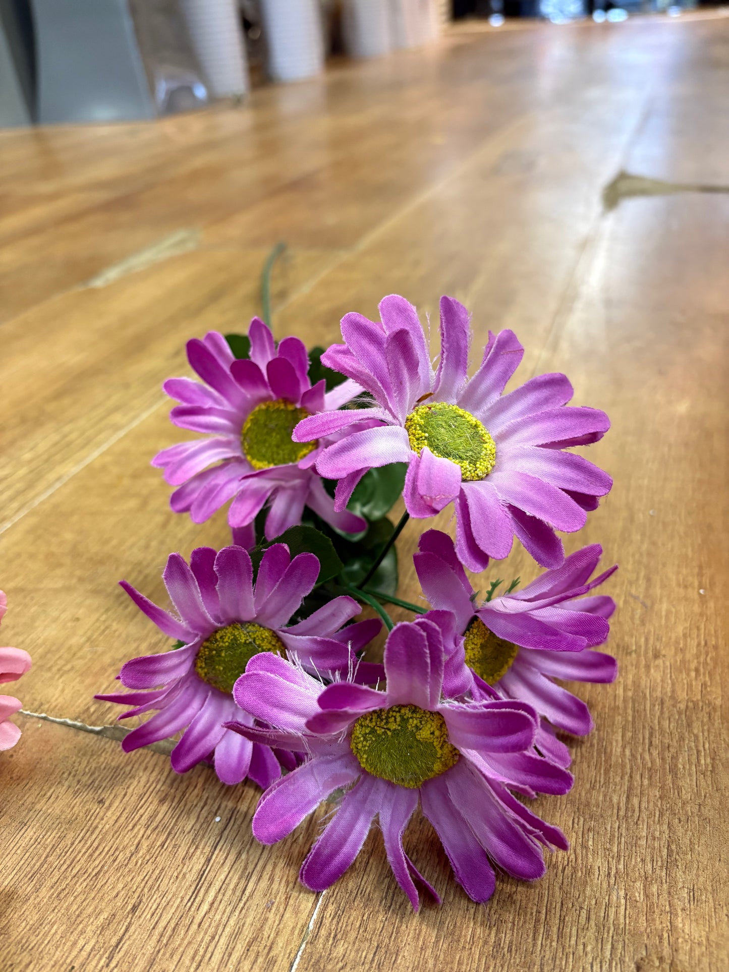 Long stem gerbera spray - 2 colours available