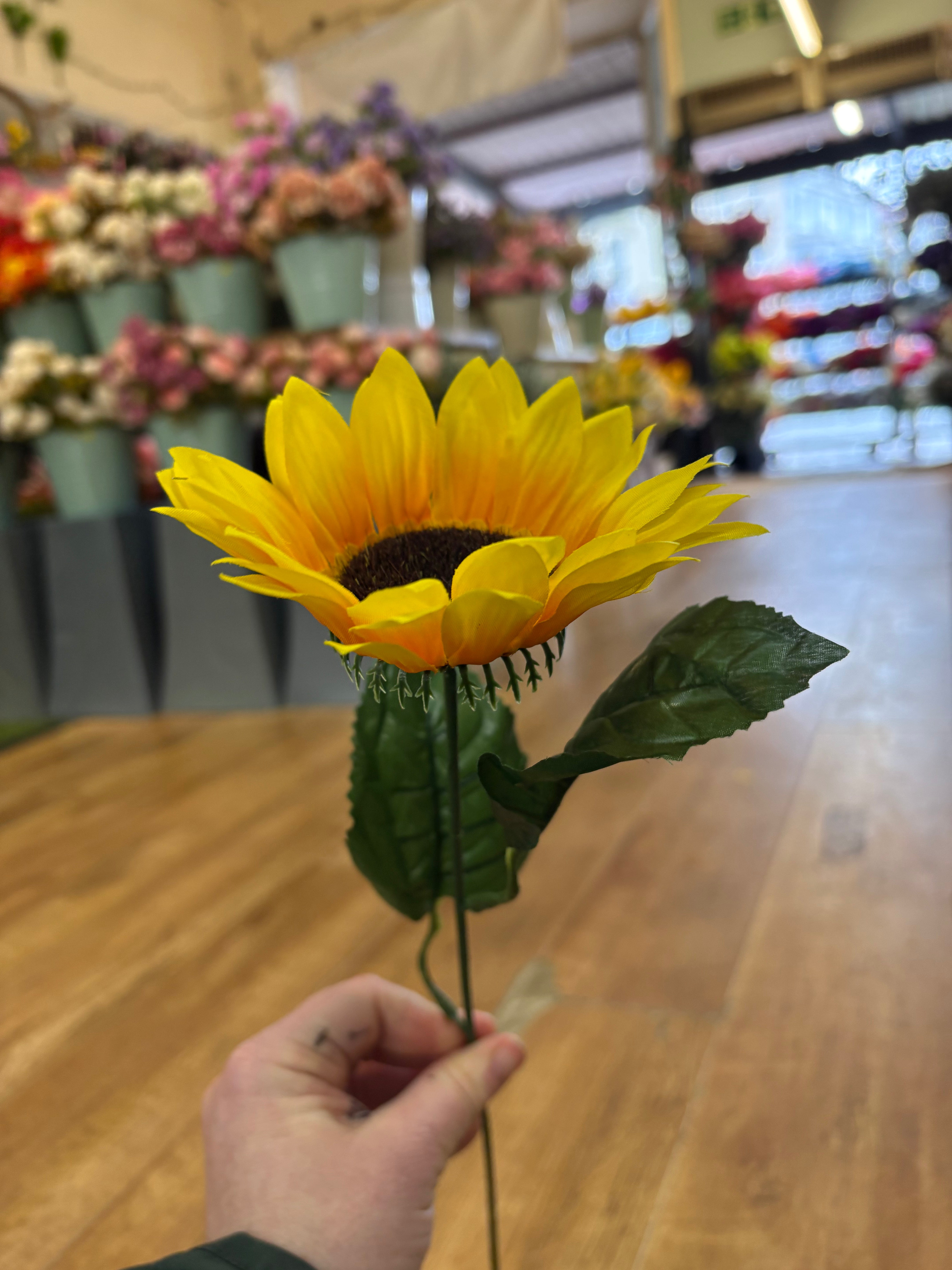 Long stem single sunflower