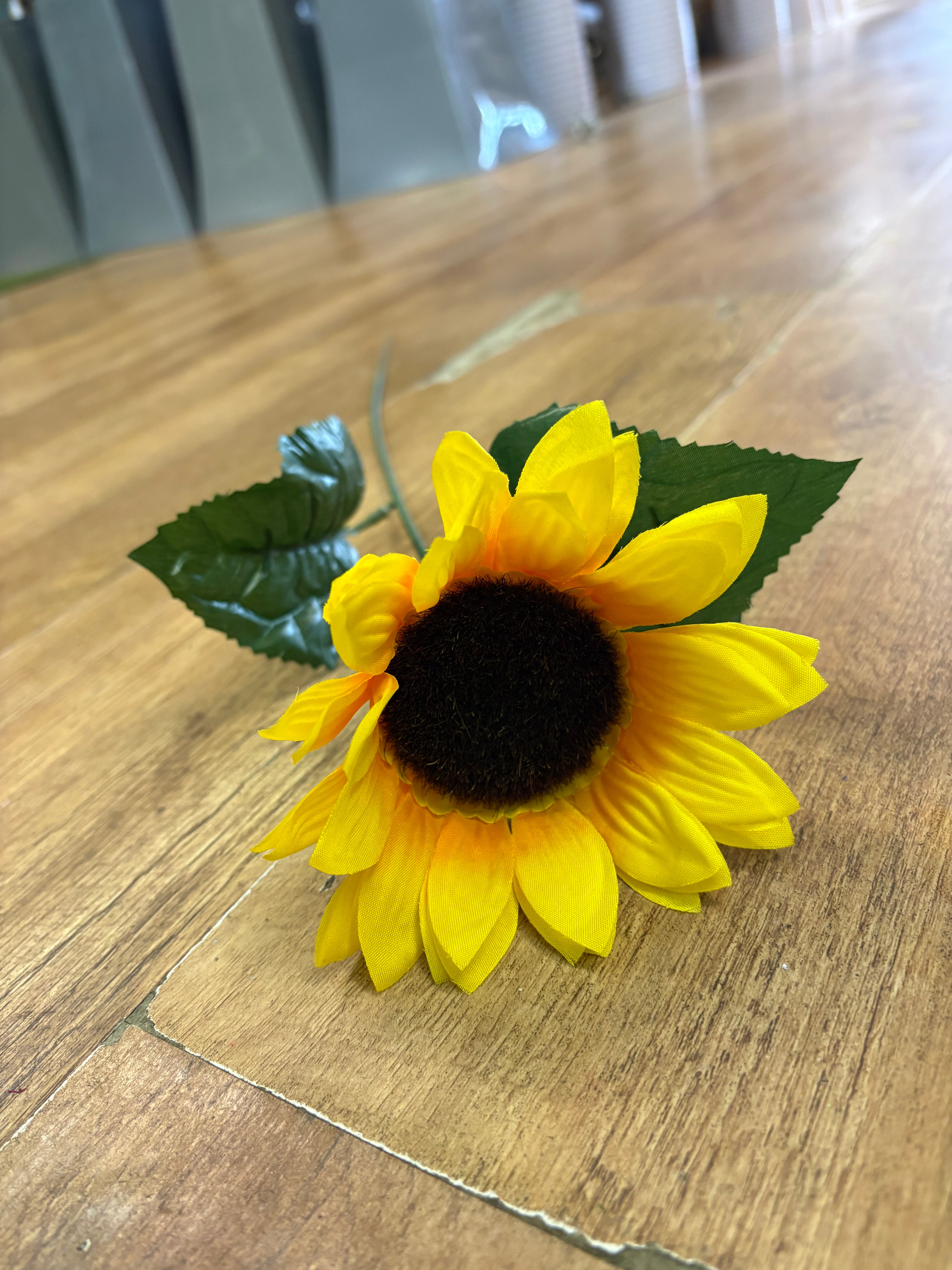Long stem single sunflower