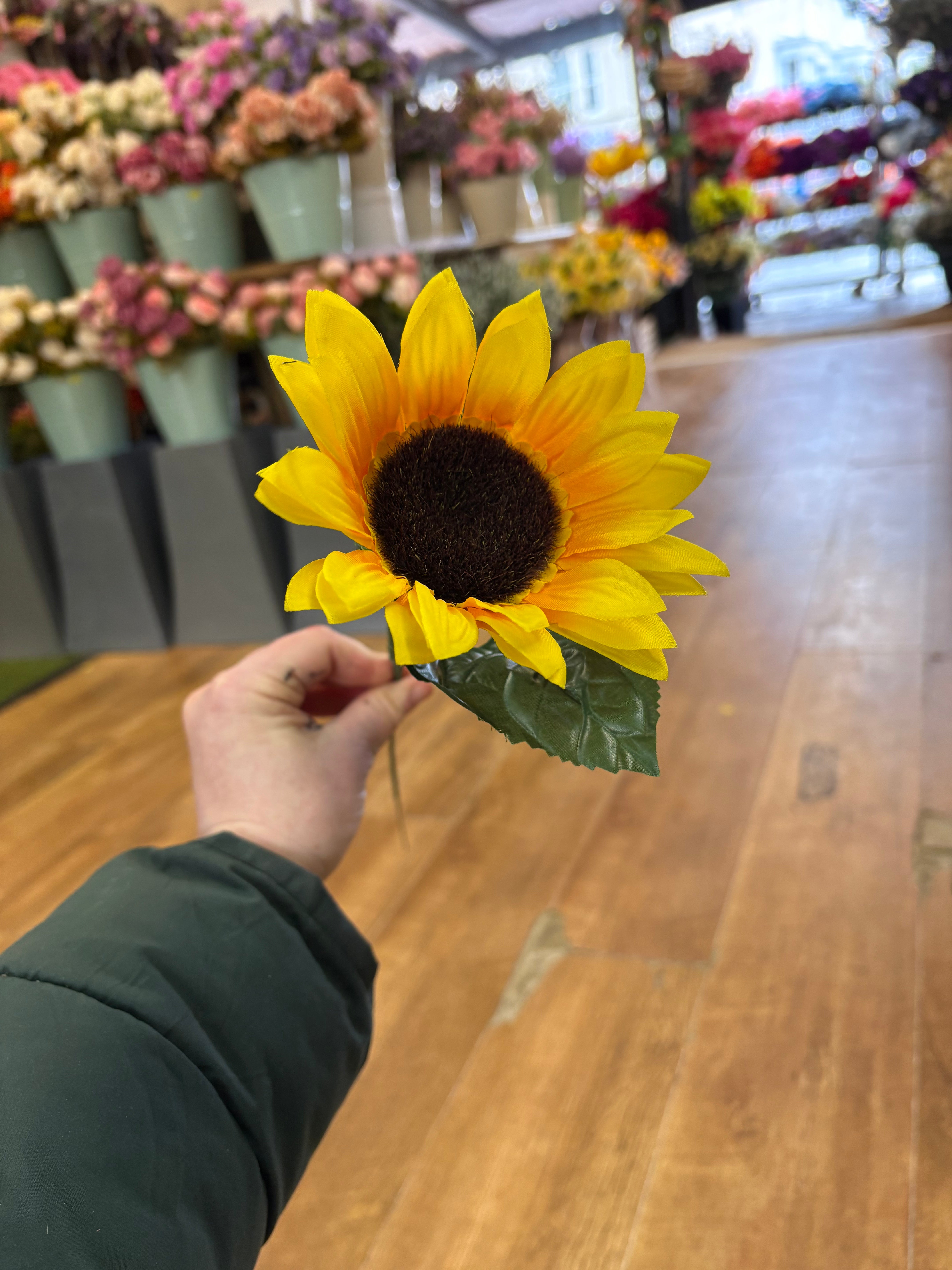 Long stem single sunflower