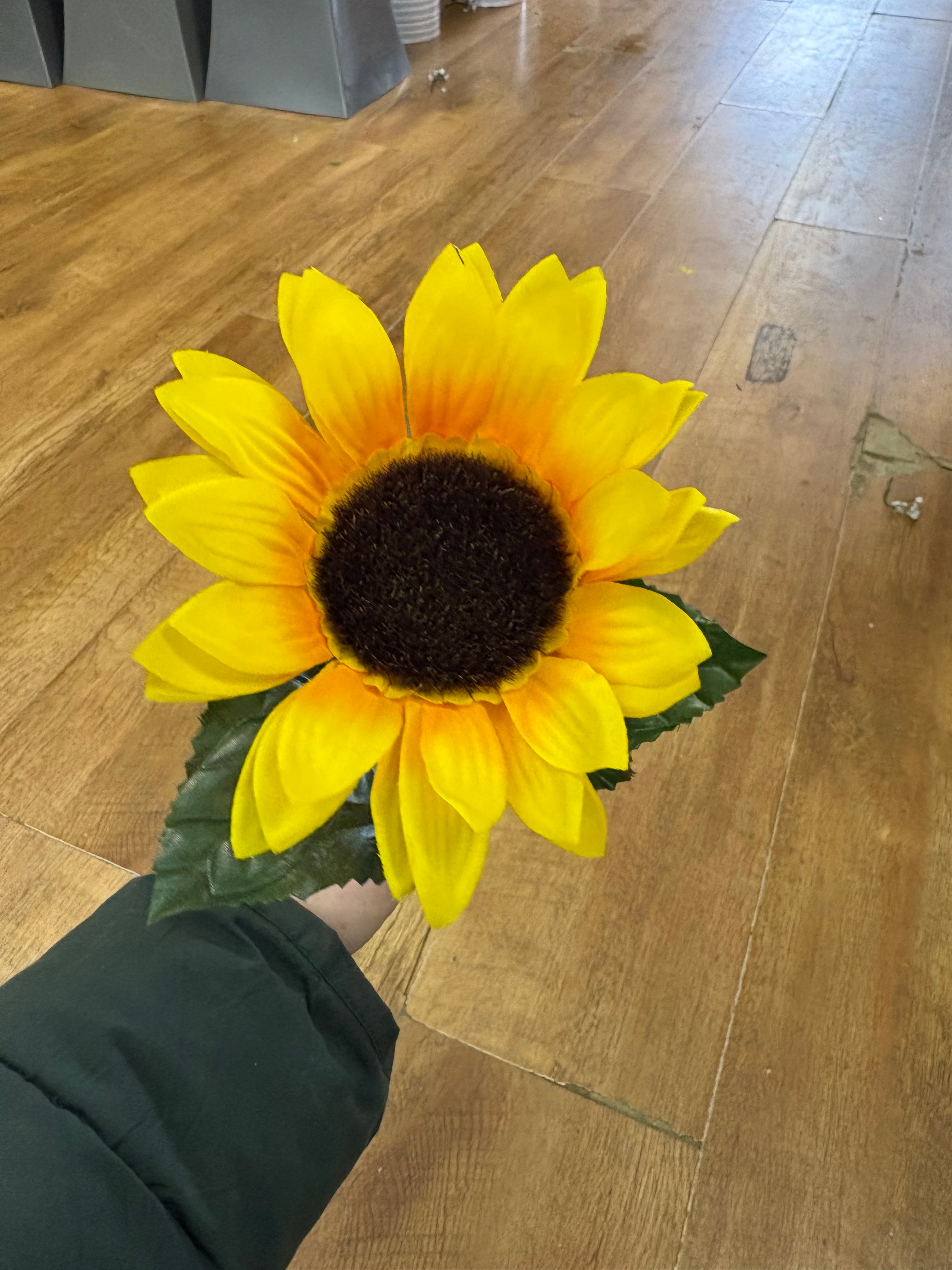 Long stem single sunflower