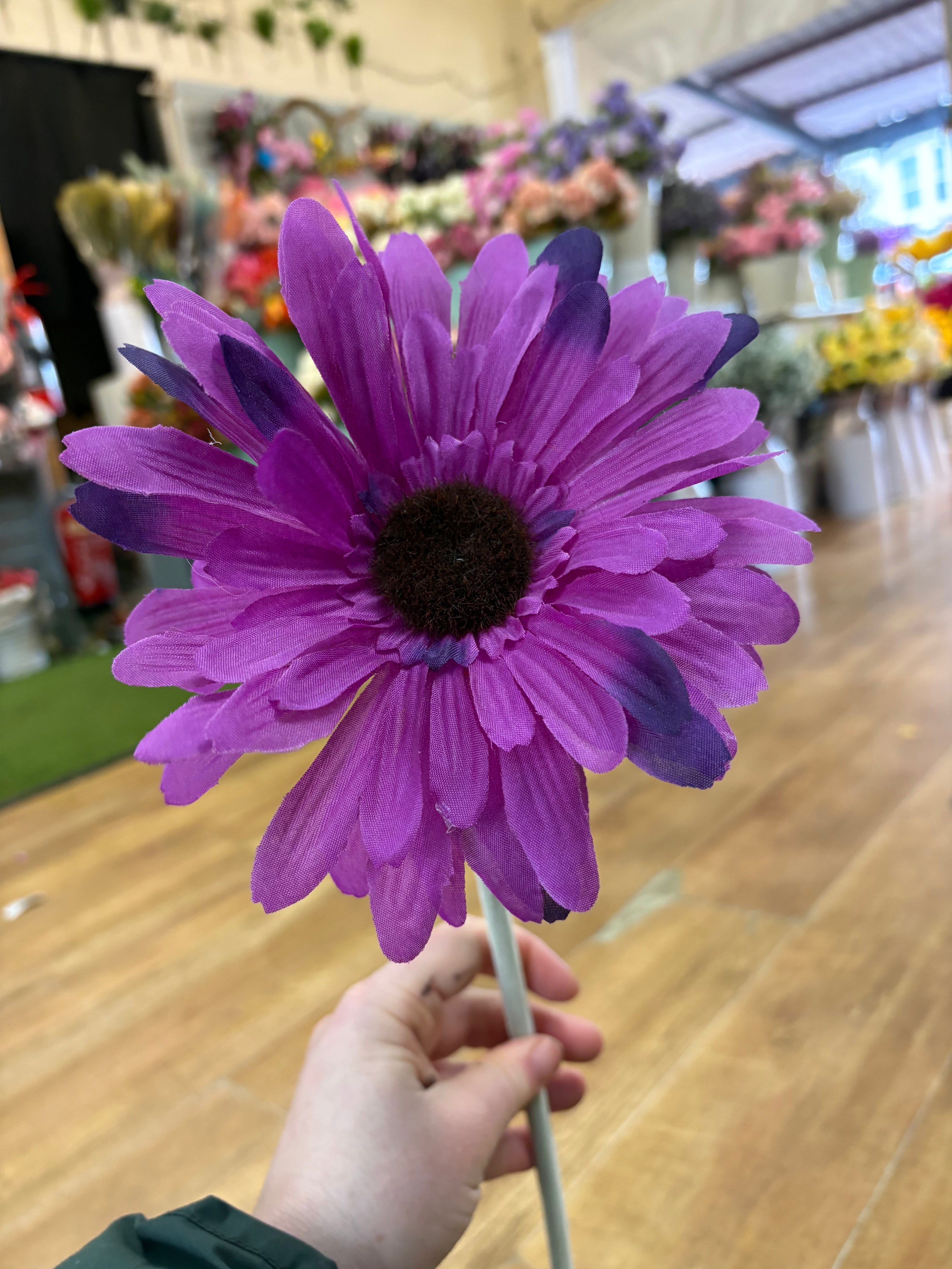 Long stem big head purple gerbera