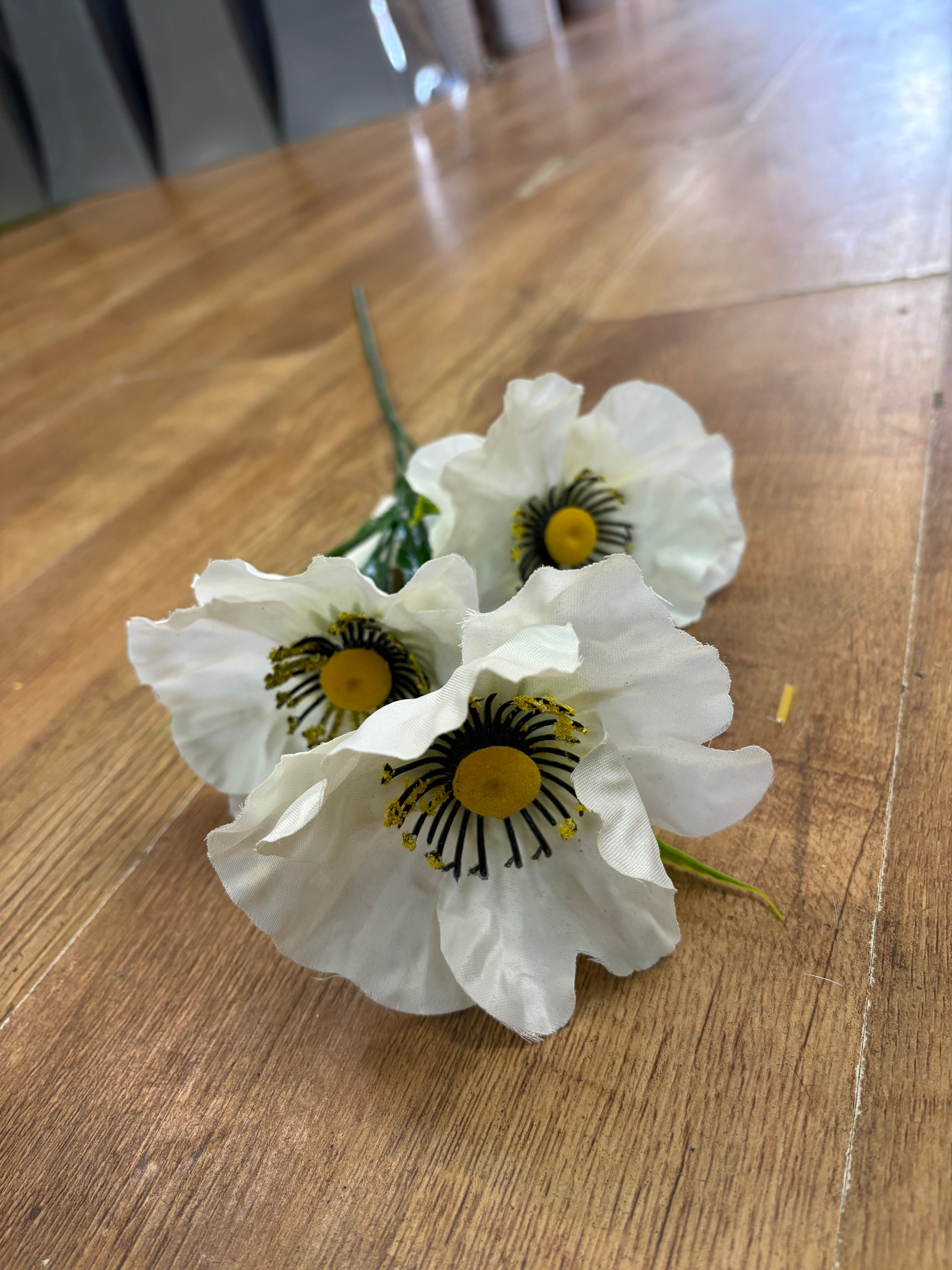Long stem white poppy