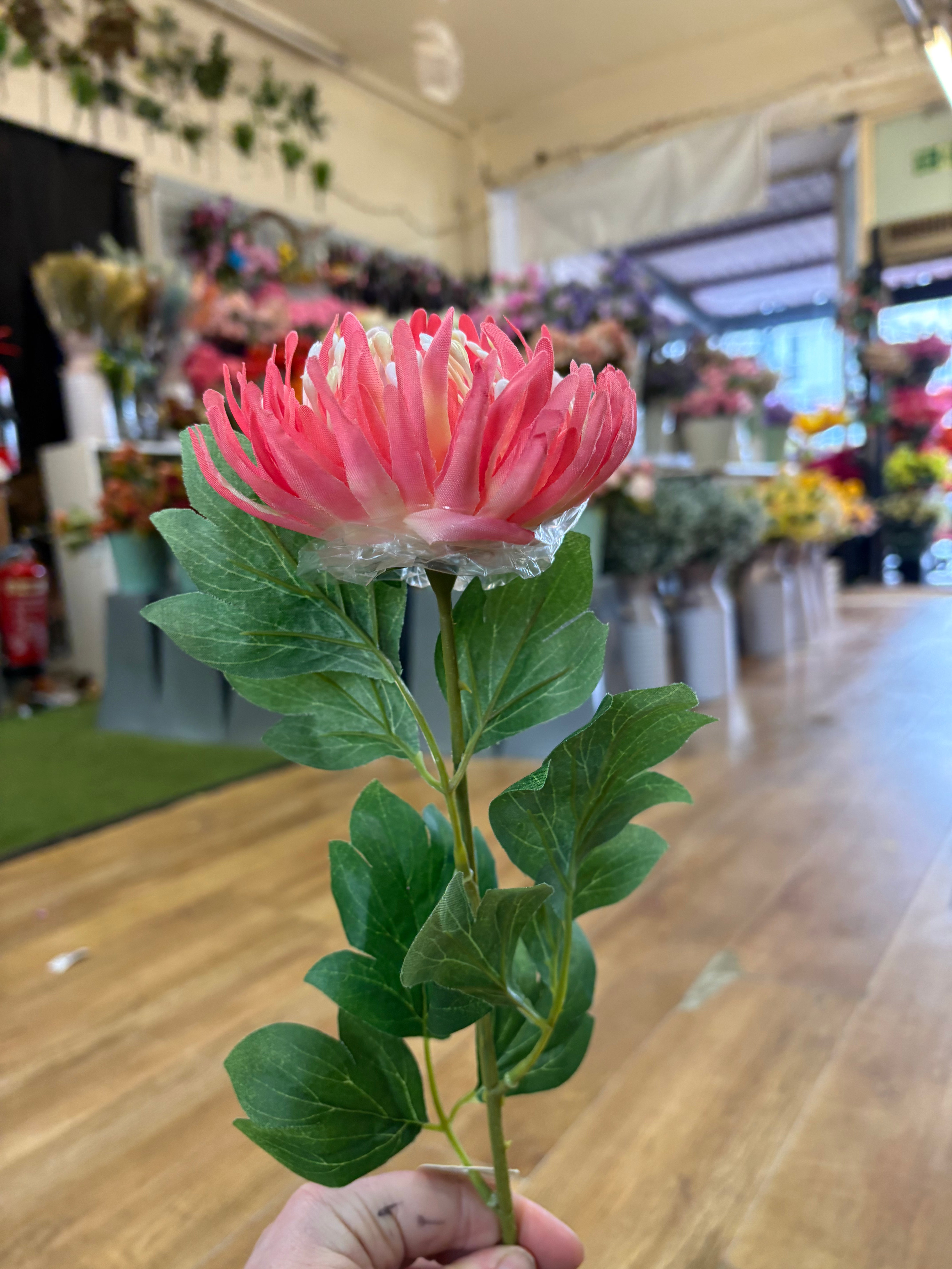 Long stem chrysanthemum - 2 colours available