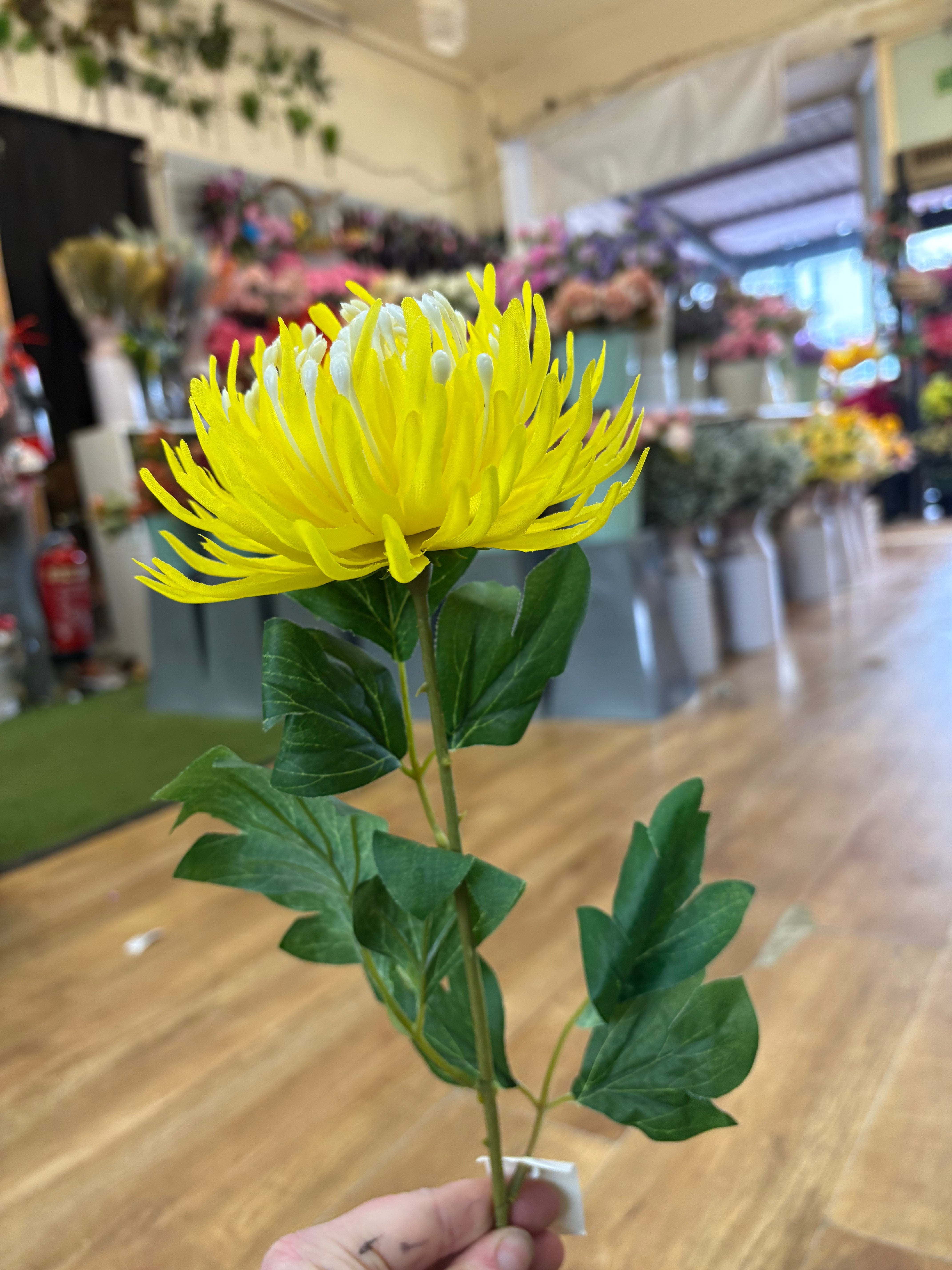 Long stem chrysanthemum - 2 colours available