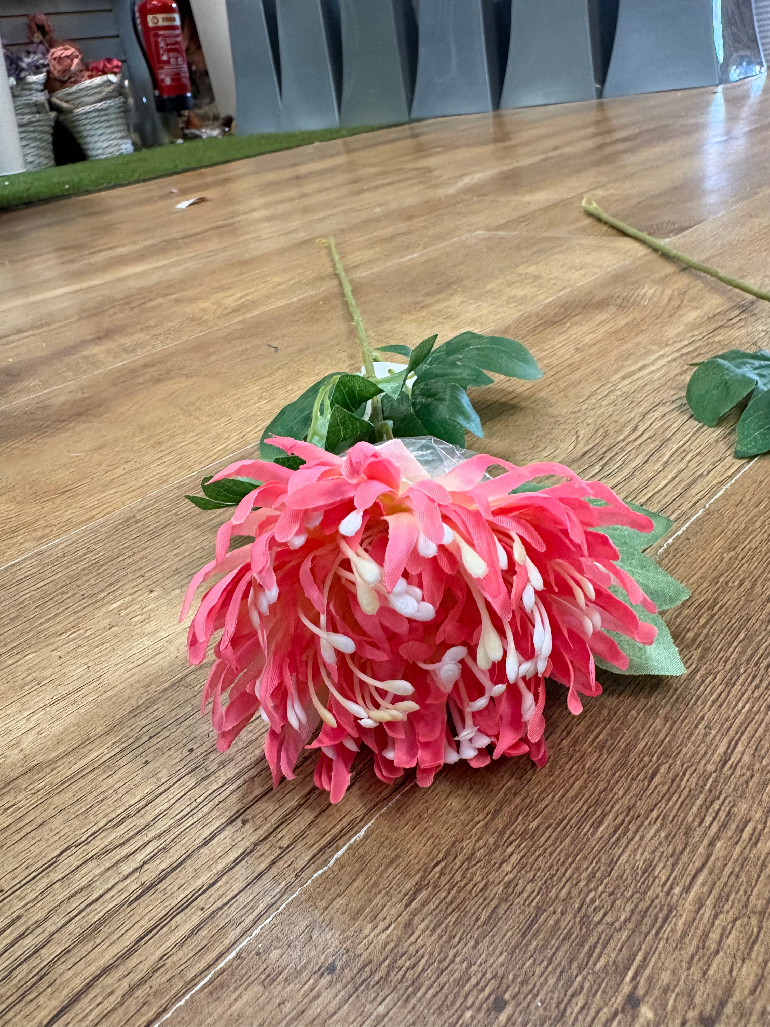 Long stem chrysanthemum - 2 colours available