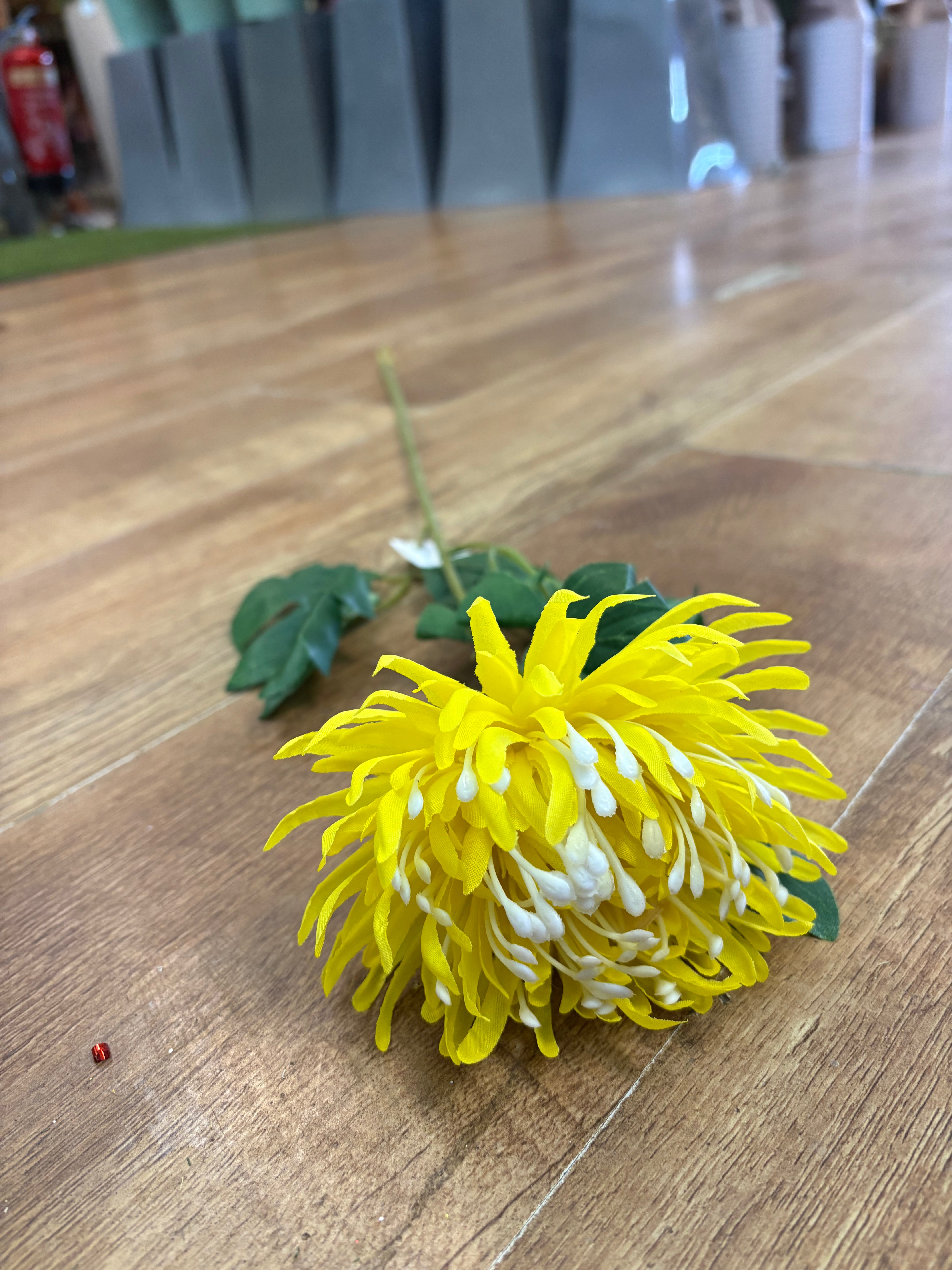 Long stem chrysanthemum - 2 colours available