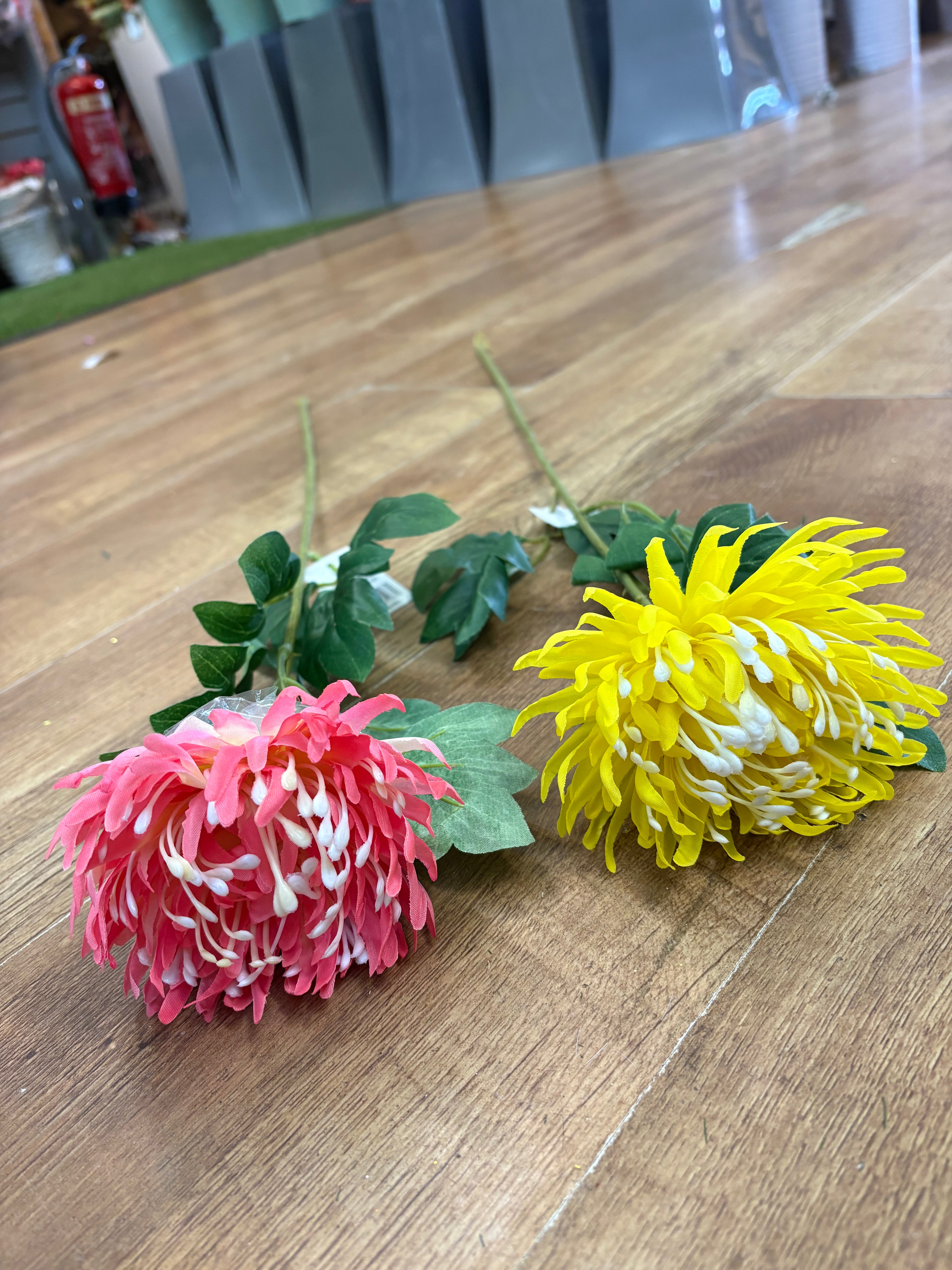 Long stem chrysanthemum - 2 colours available