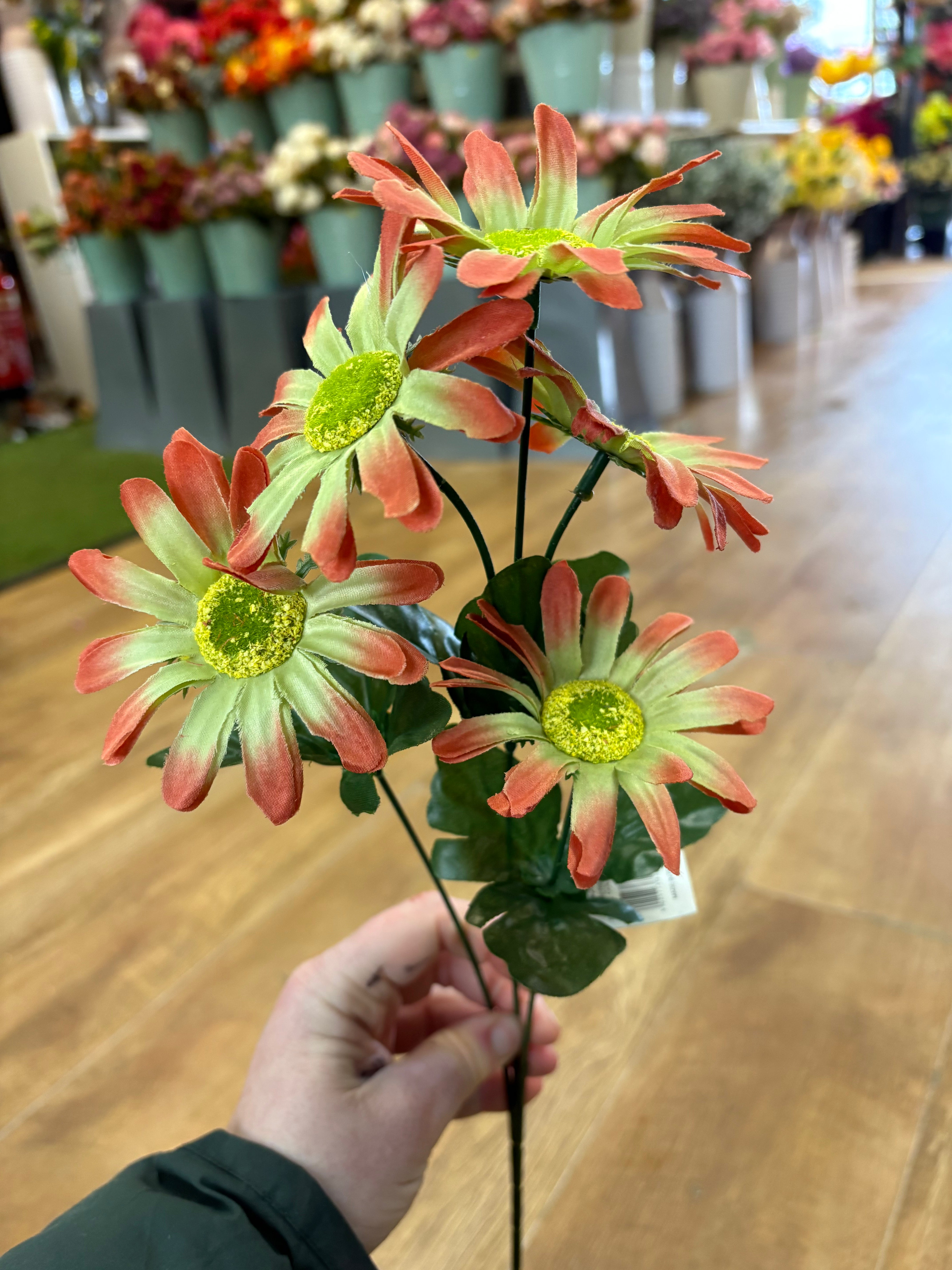 Long stem orange and green gerbera