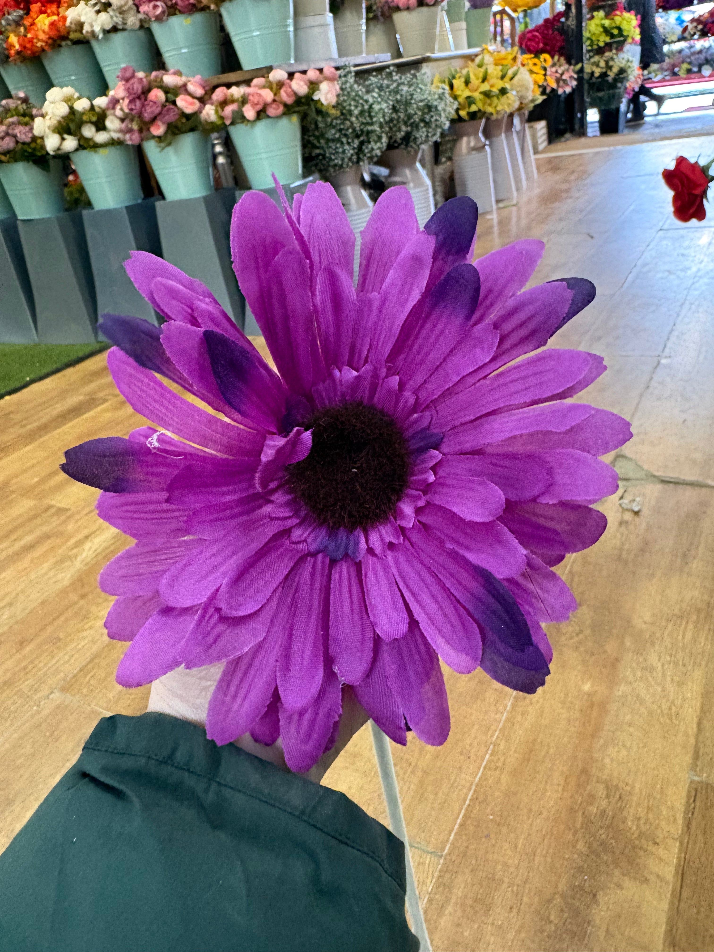 Long stem big head purple gerbera