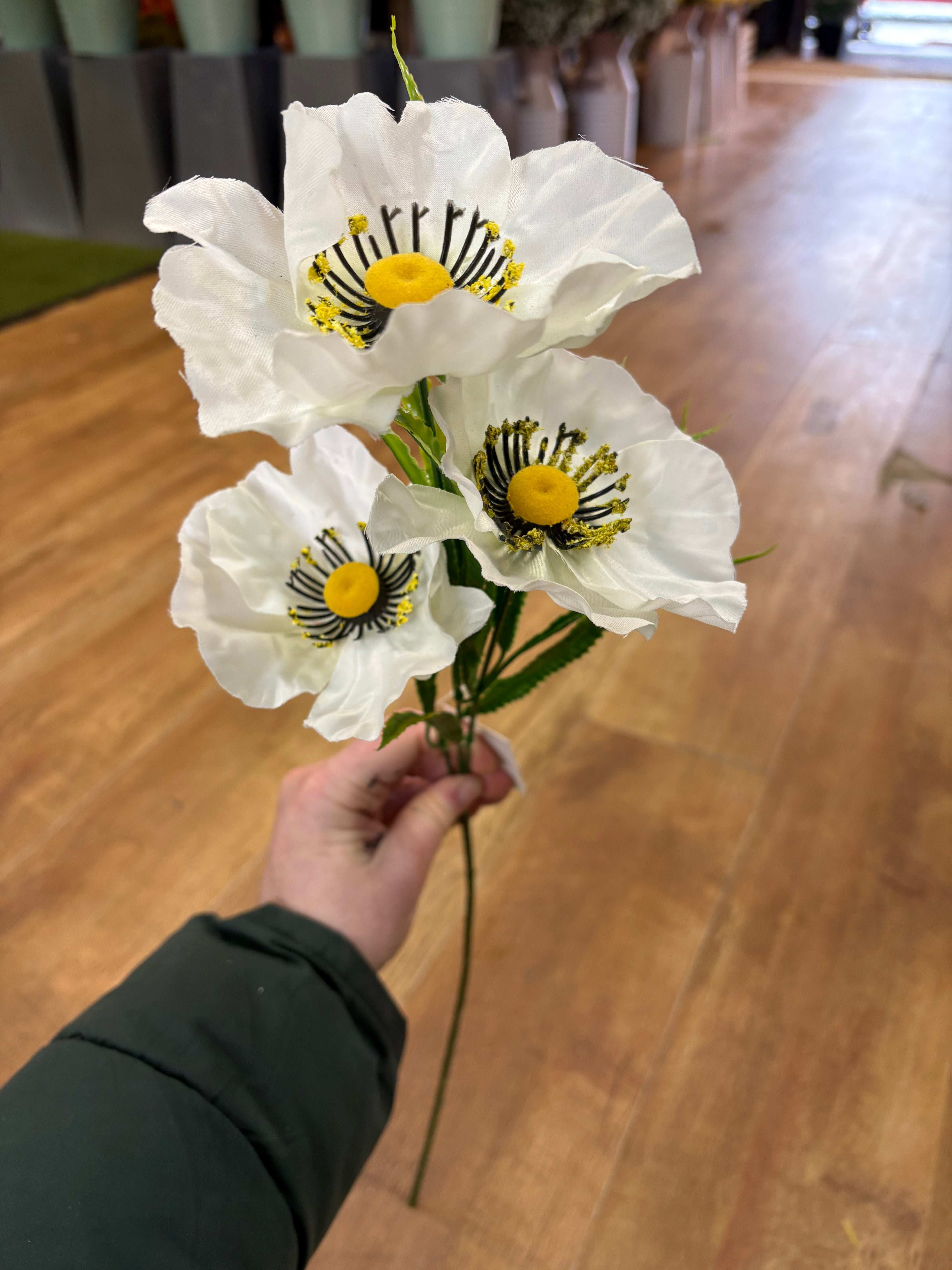 Long stem white poppy