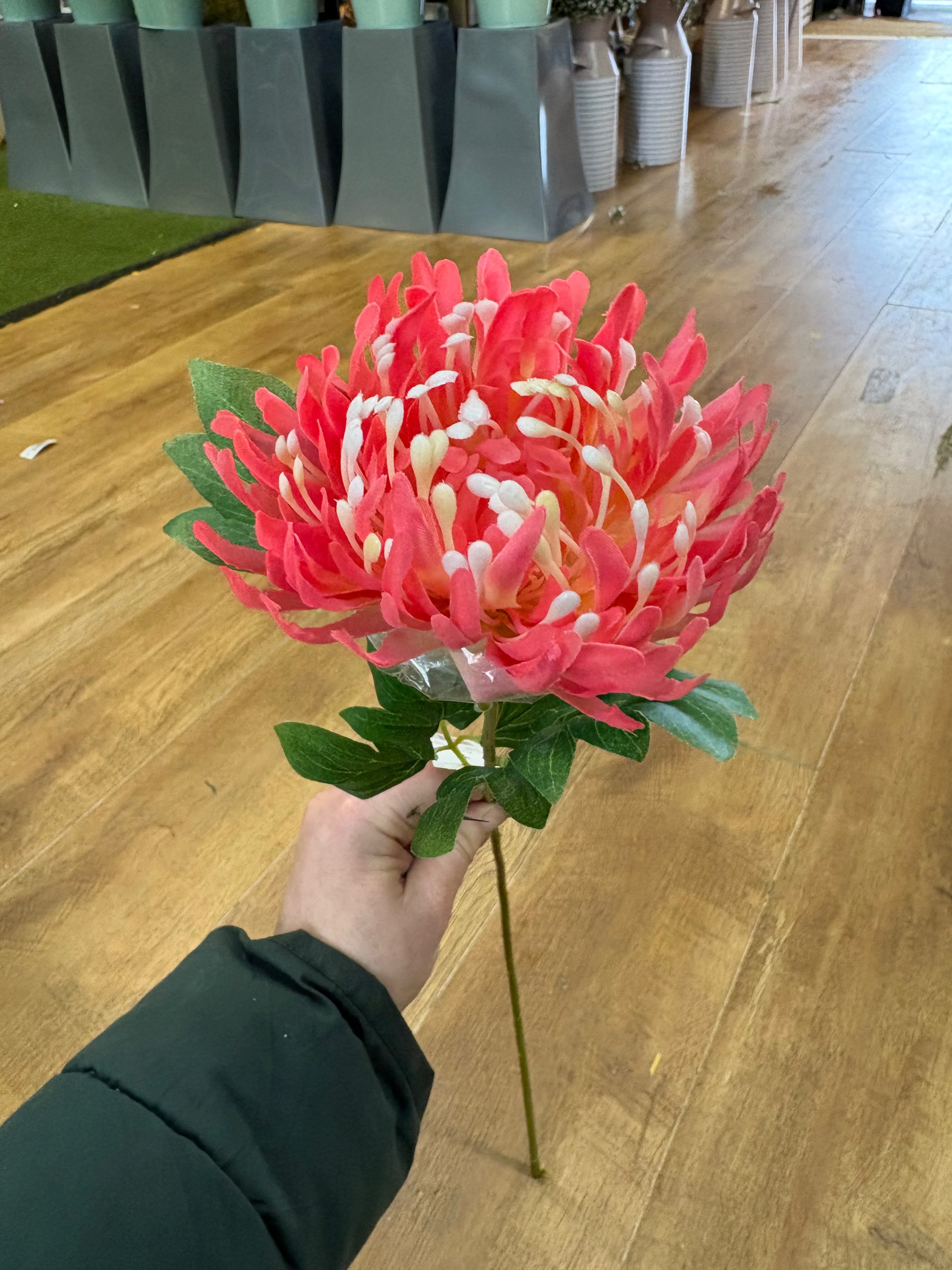 Long stem chrysanthemum - 2 colours available