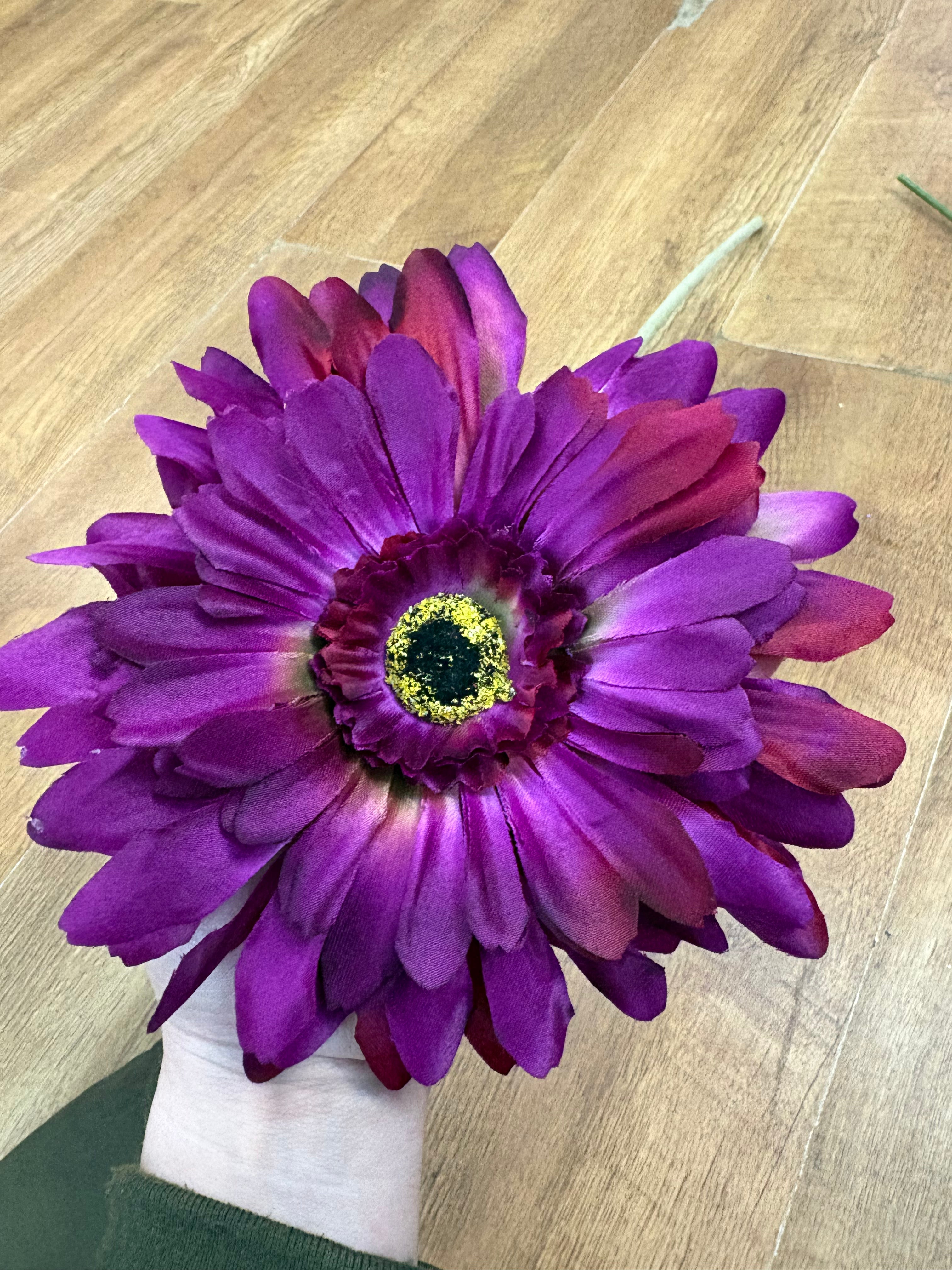 Long stem big head Magenta Jemima gerbera