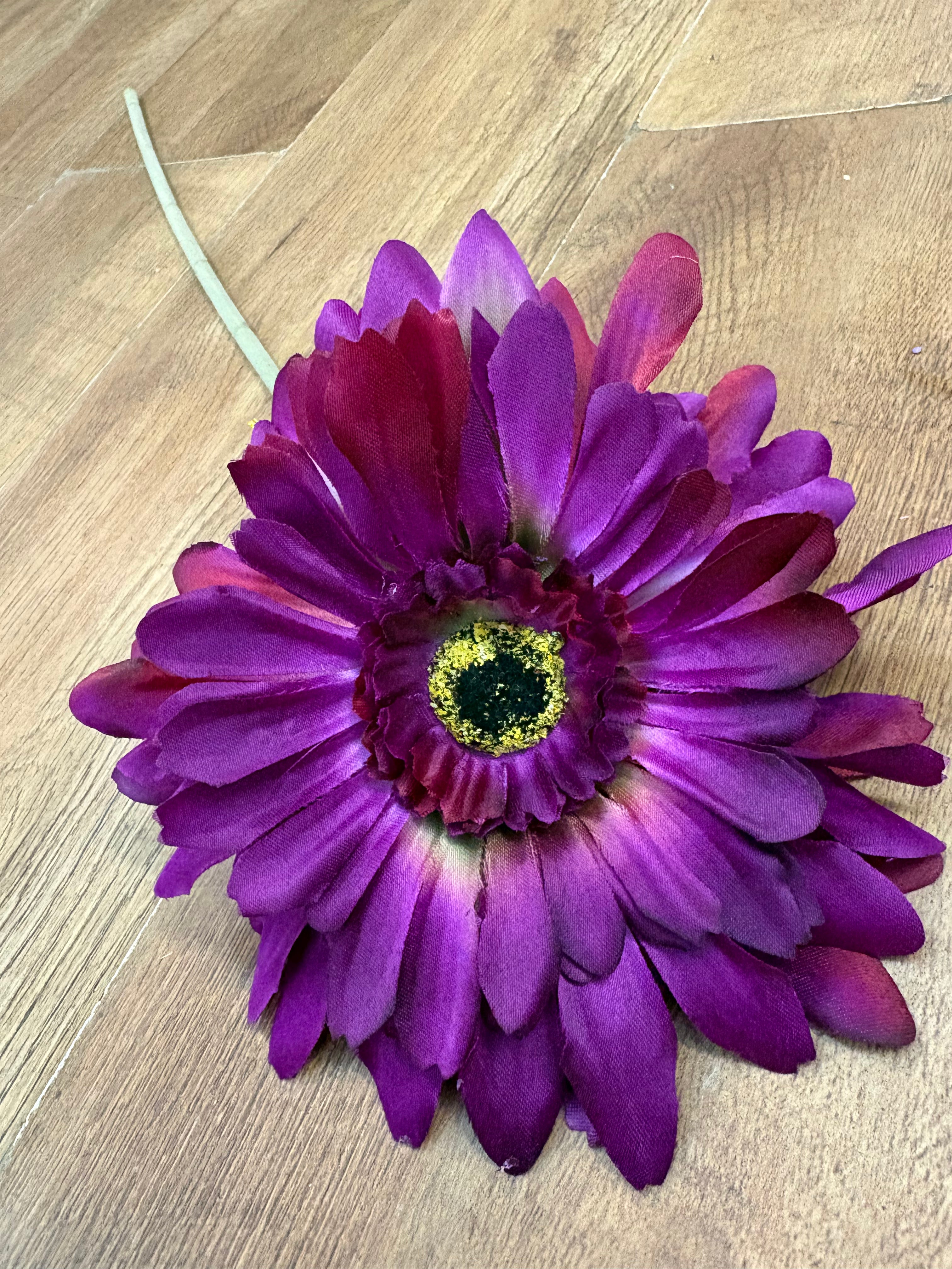 Long stem big head Magenta Jemima gerbera