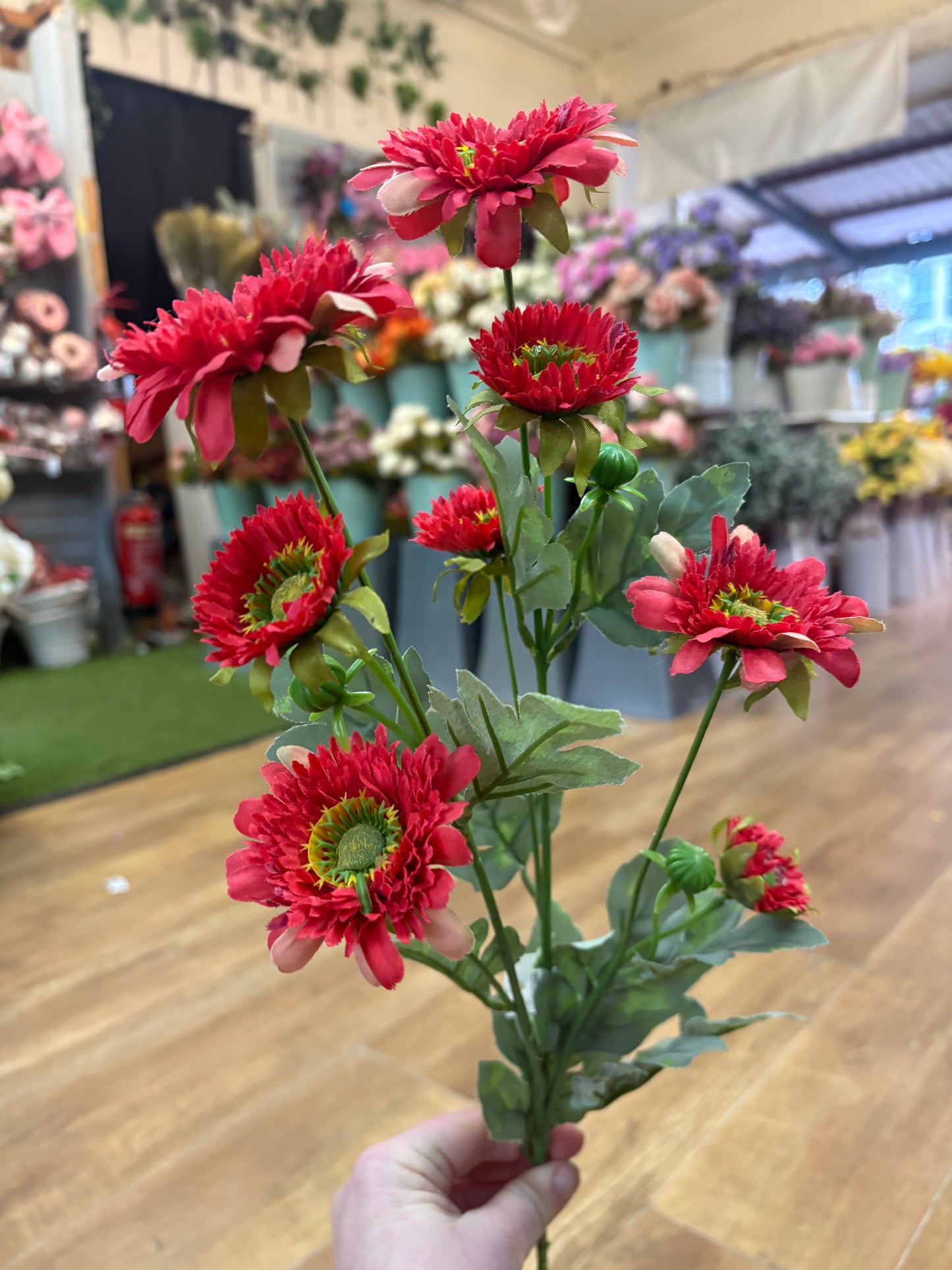 Long stem red gerbera spray