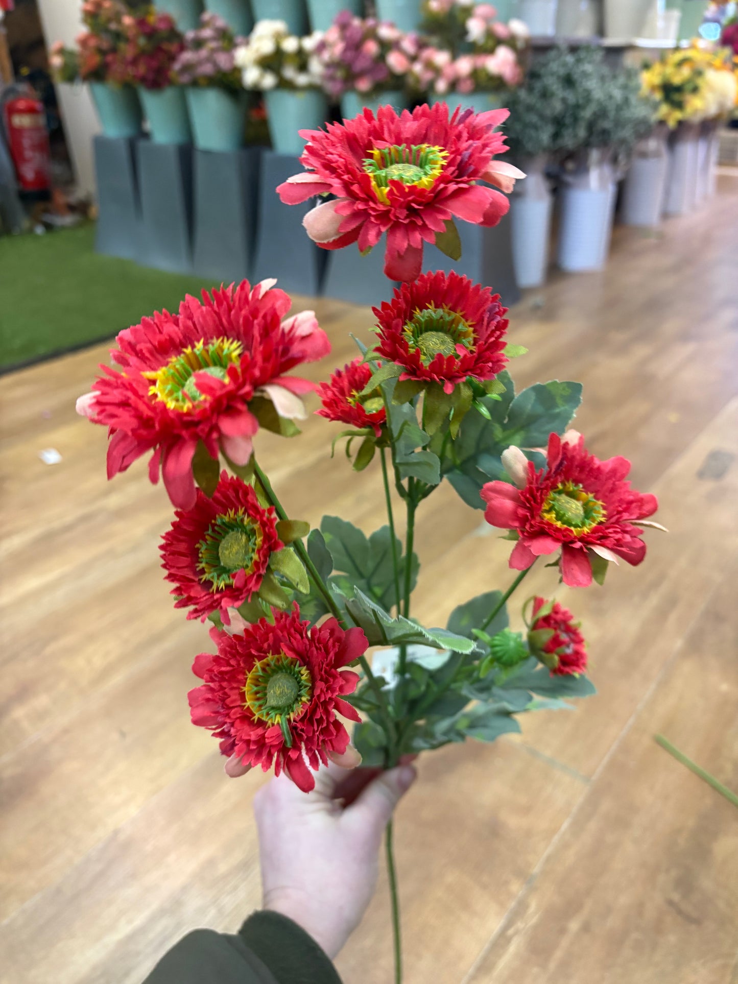 Long stem red gerbera spray