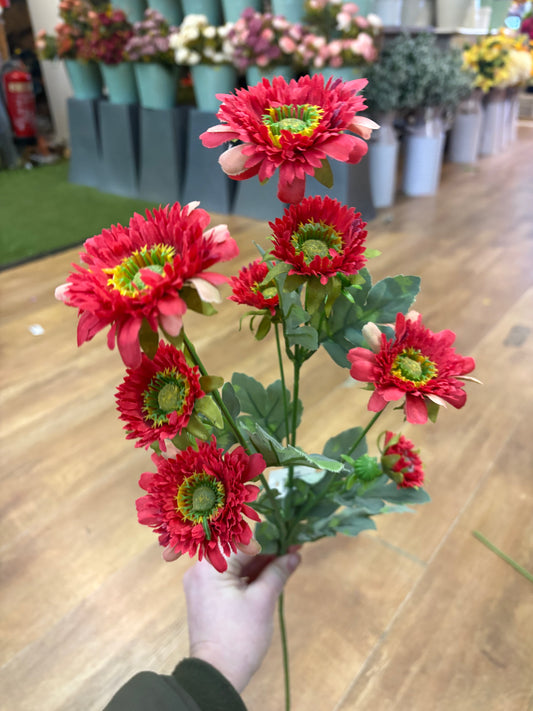 Long stem red gerbera spray