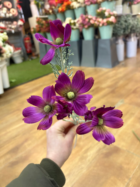 Long stem magenta cosmos spray