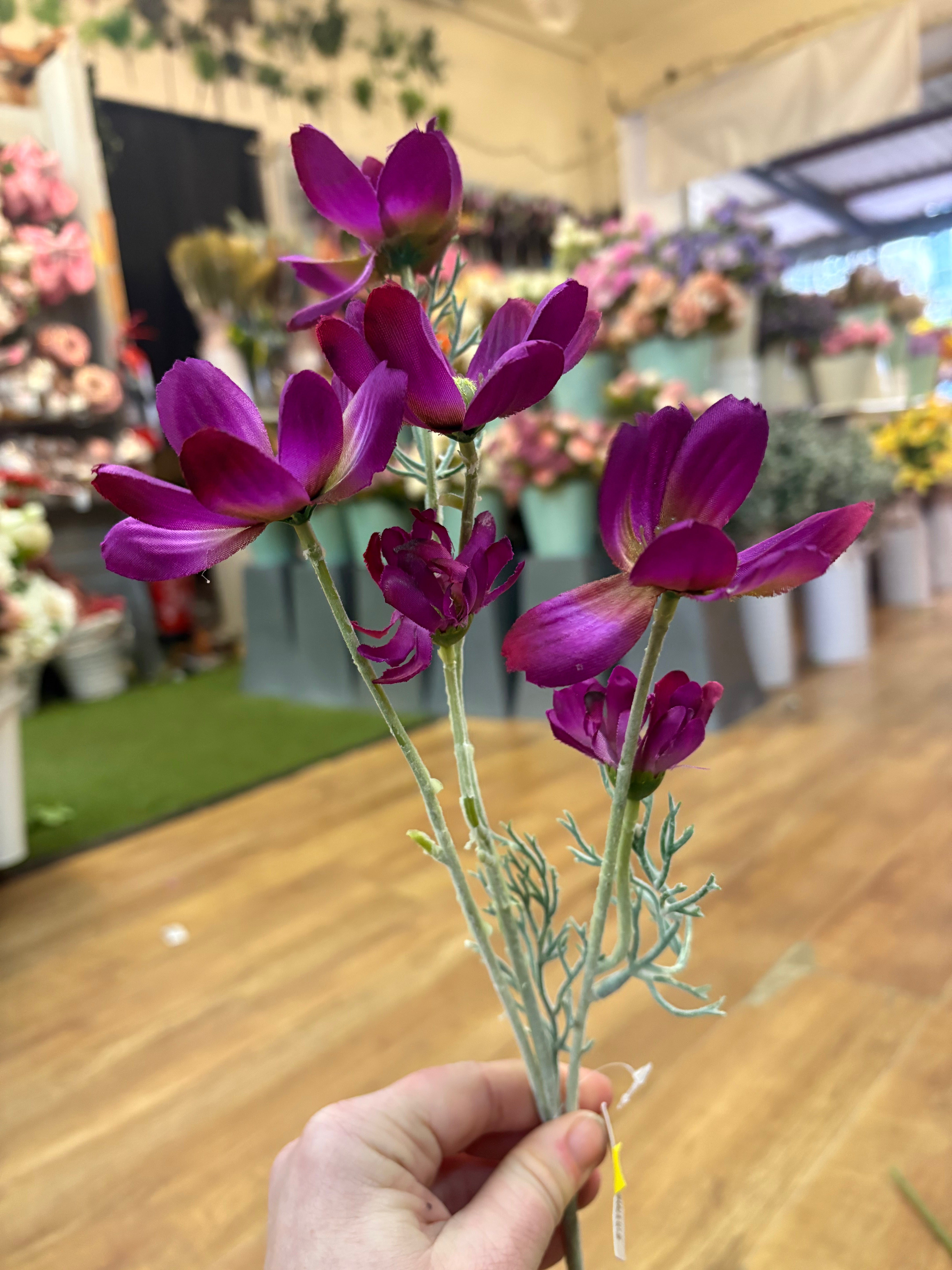 Long stem magenta cosmos spray