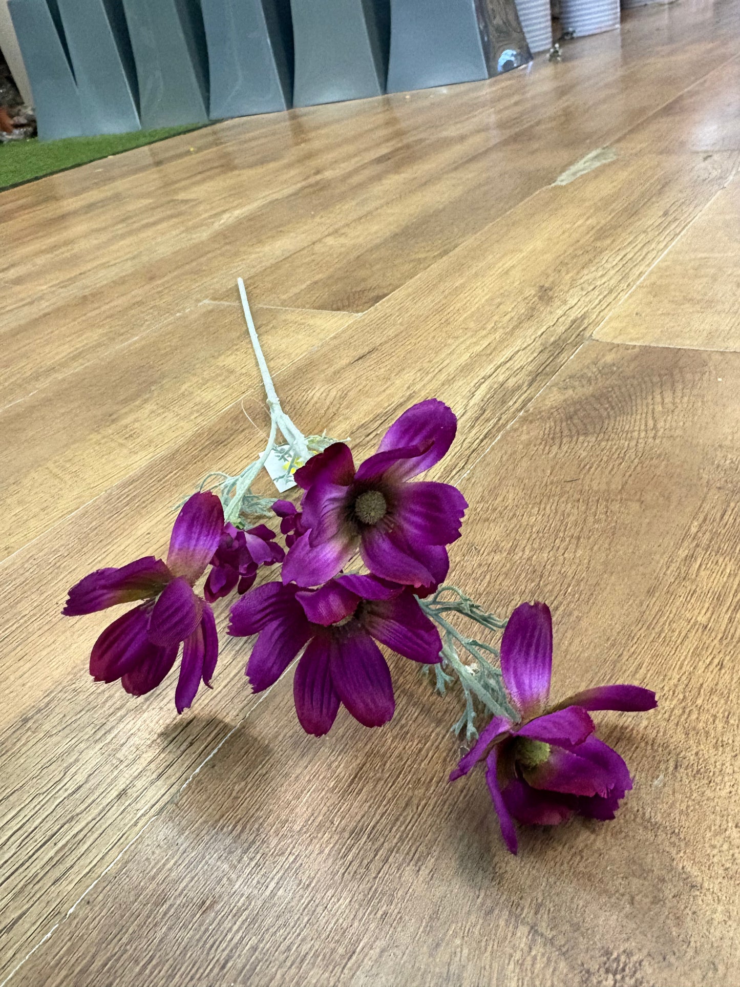 Long stem magenta cosmos spray