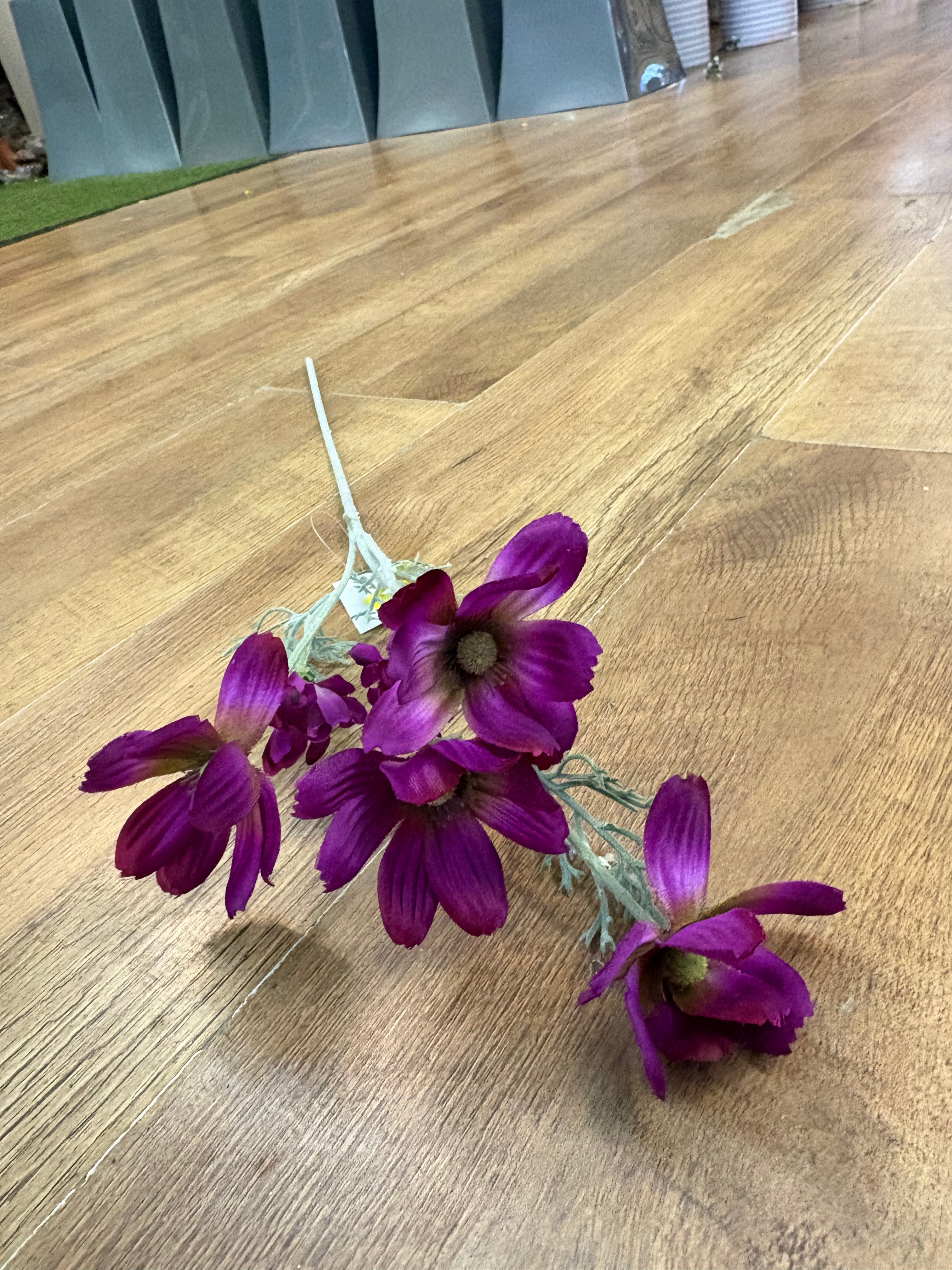 Long stem magenta cosmos spray