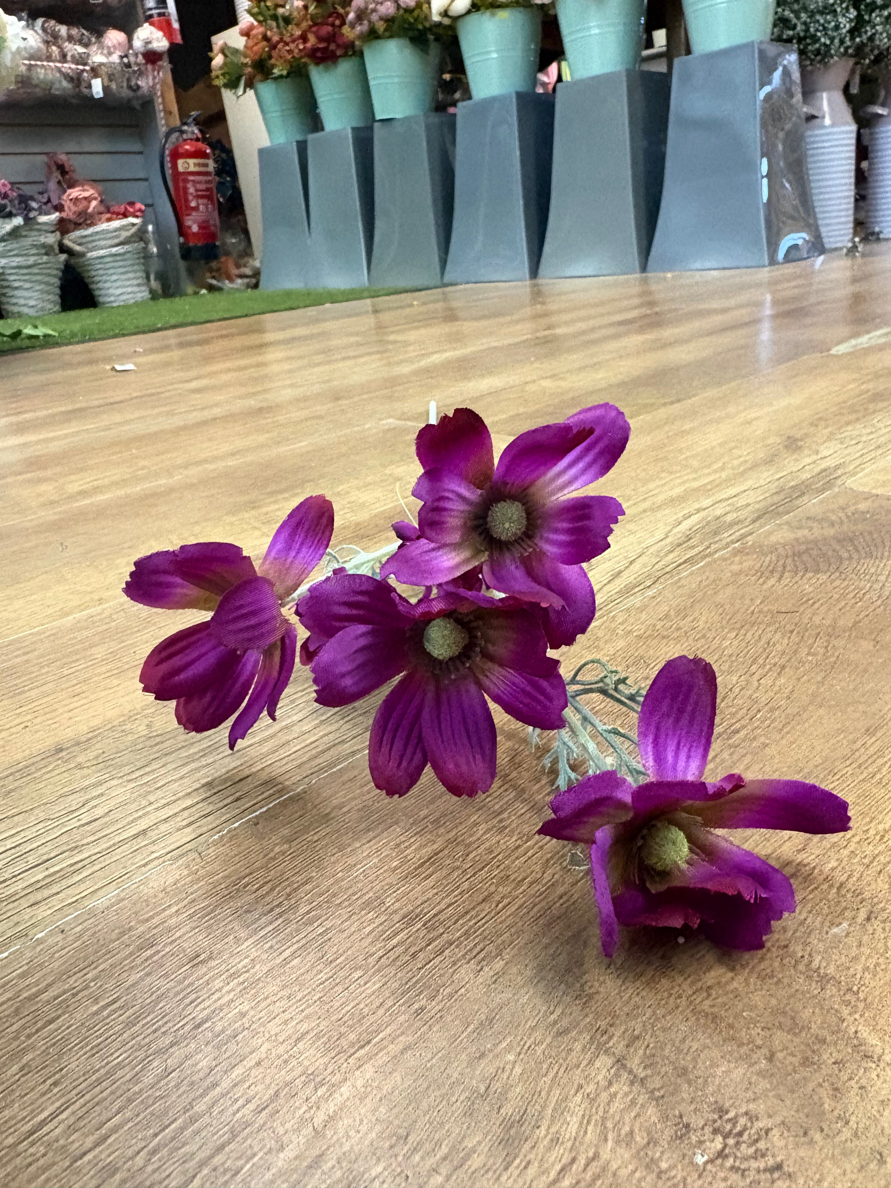 Long stem magenta cosmos spray