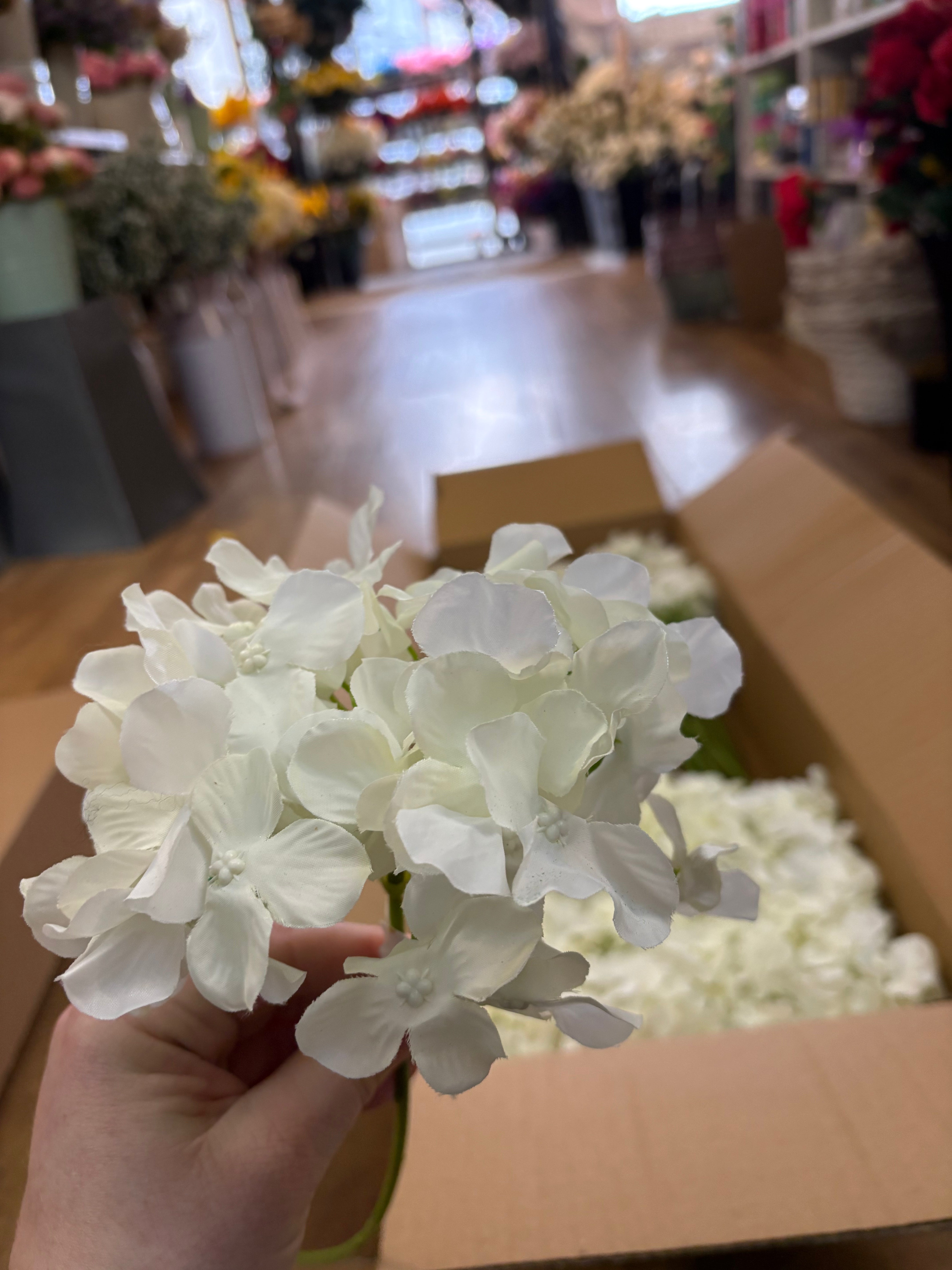 Box of 36 ivory hydrangea stems