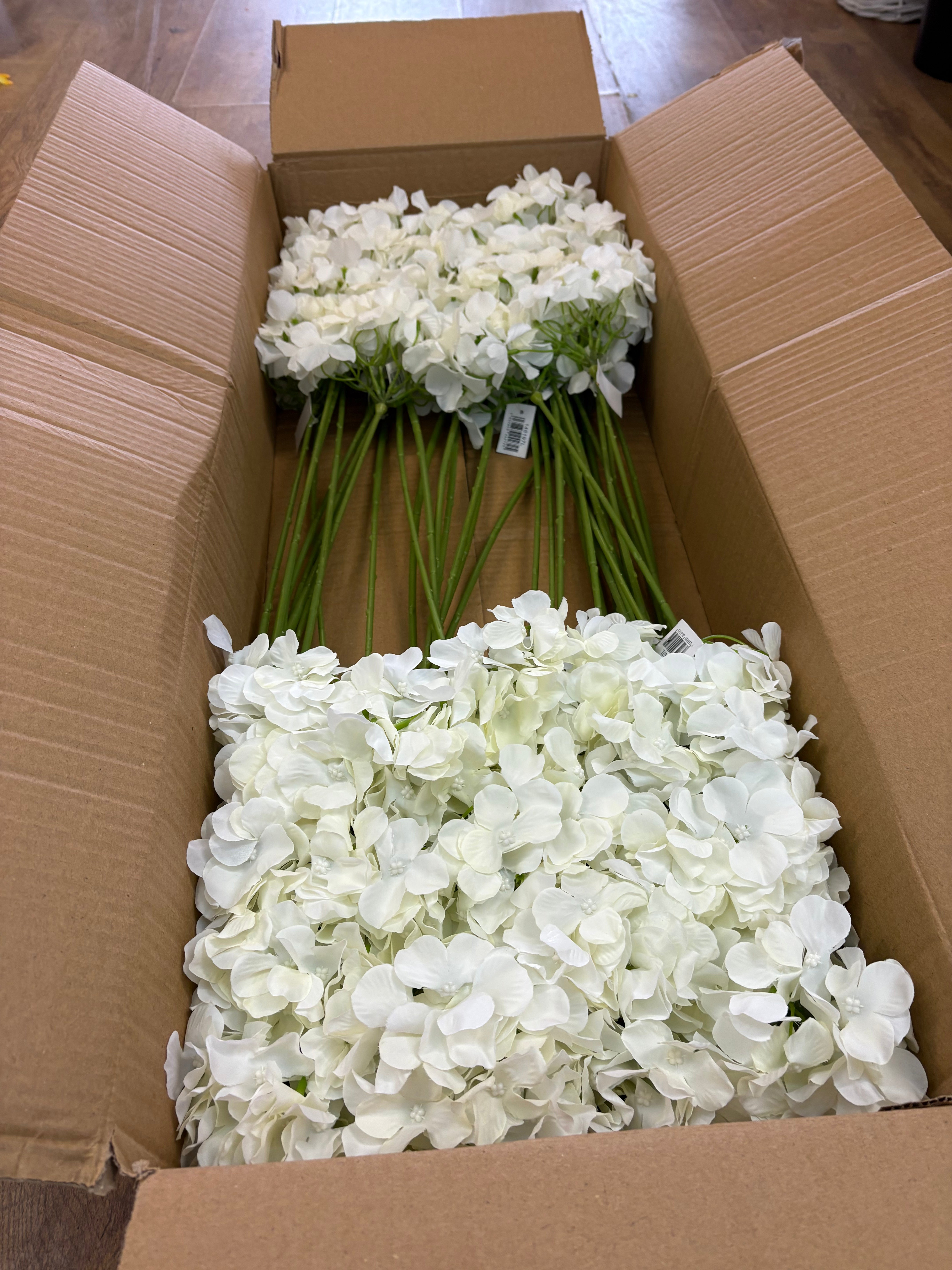 Box of 36 ivory hydrangea stems